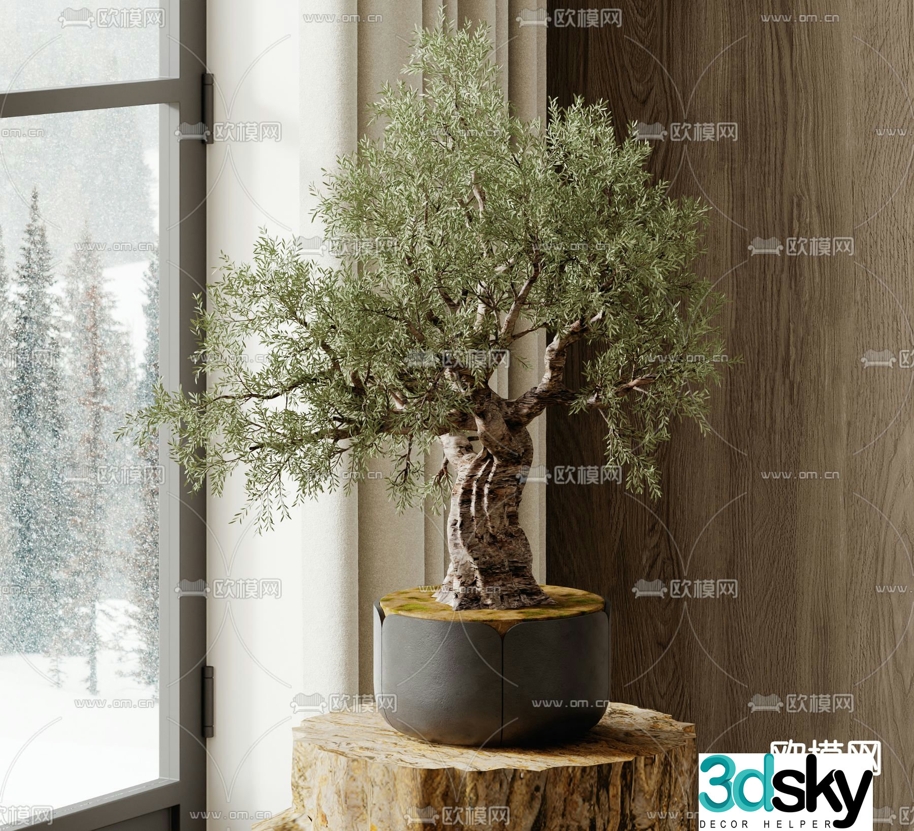 Potted plants Bonsai Green plants 3D model