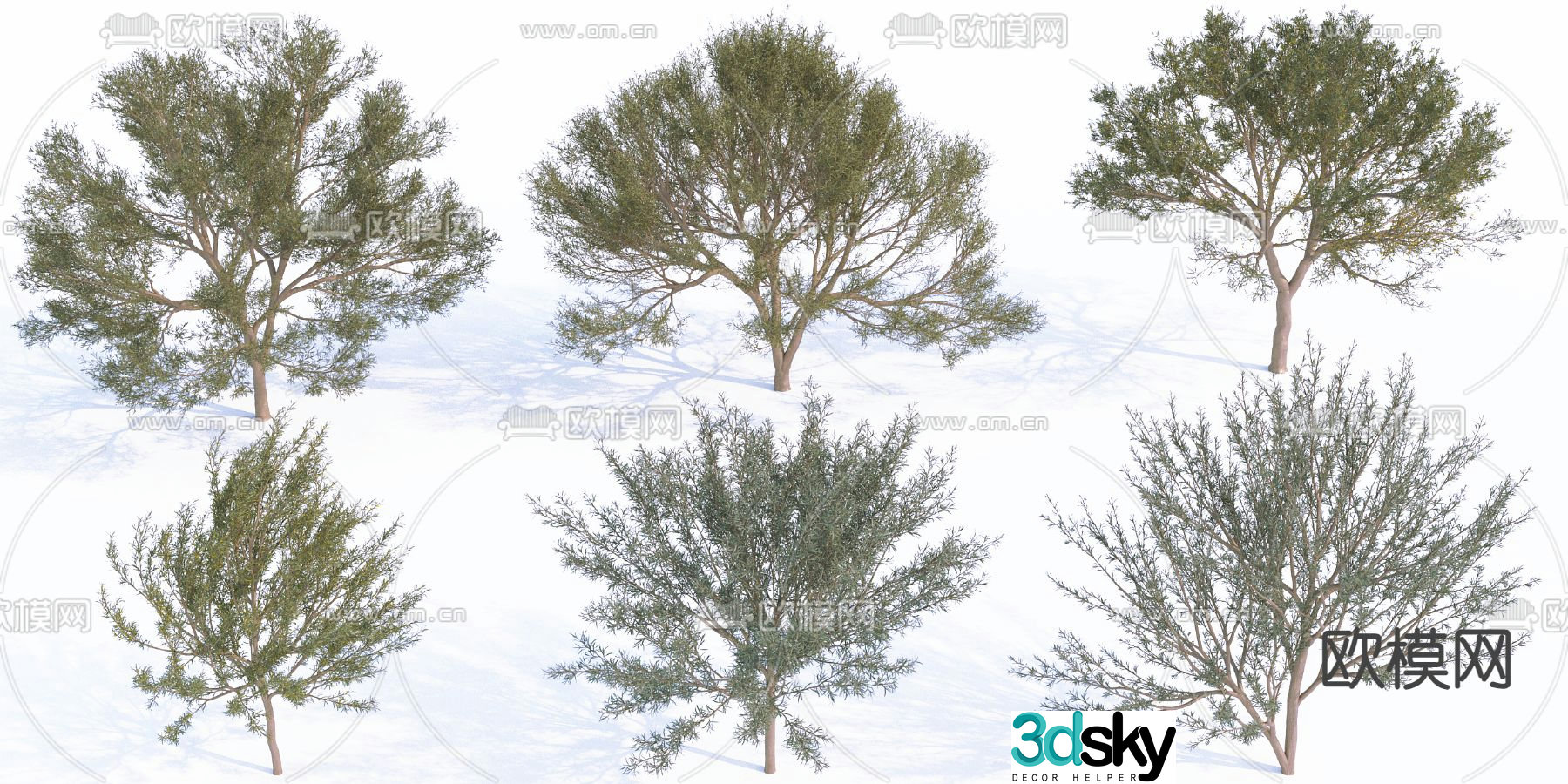 Landscape tree Street tree Ornamental tree Big tree 3D model