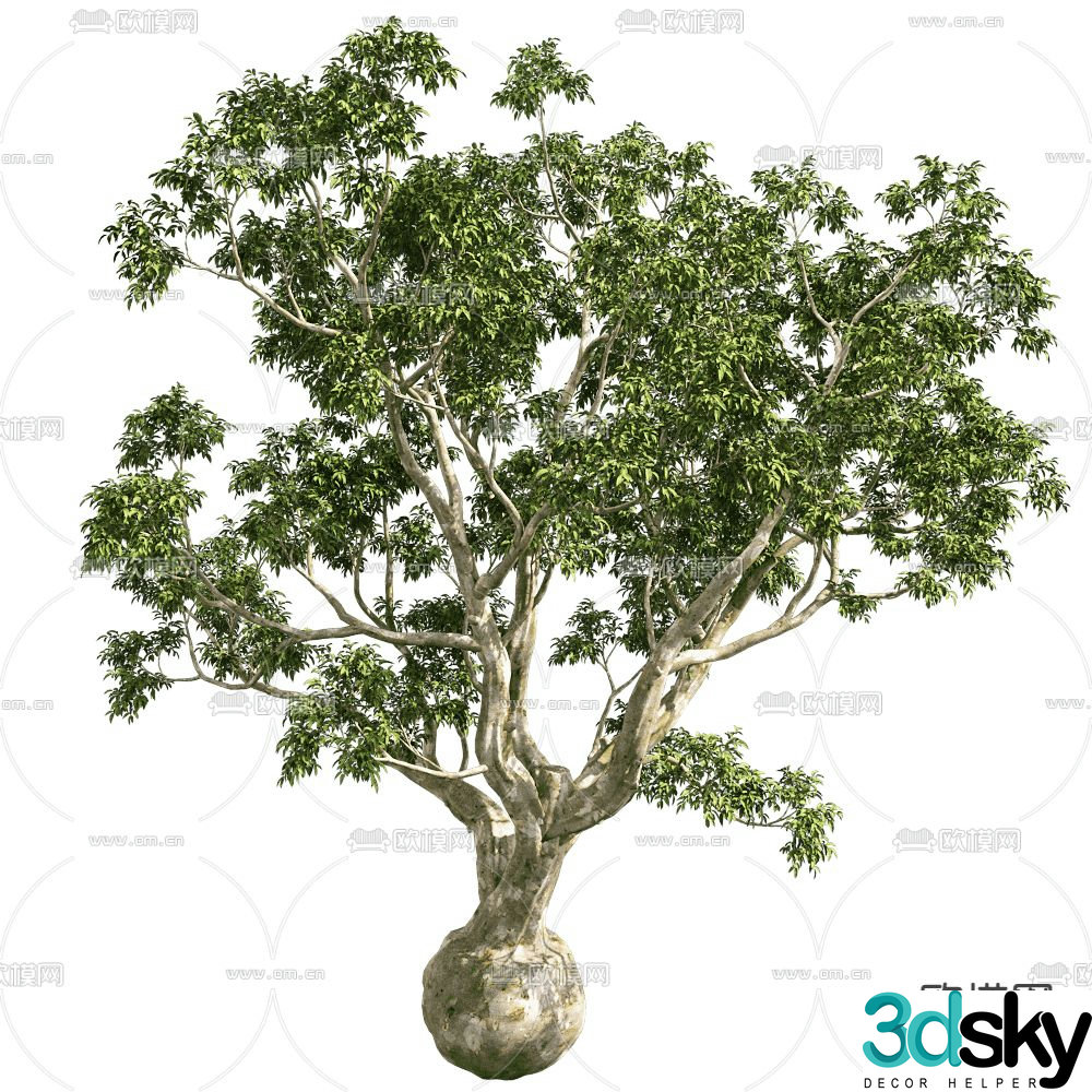 Landscape trees ornamental trees trees 3d model