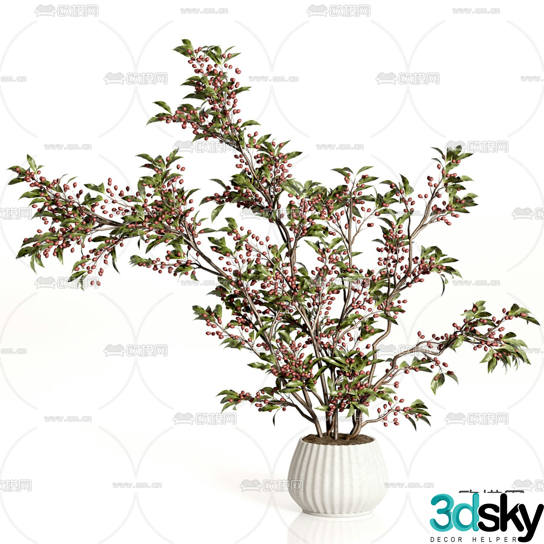 Potted plants Bonsai Flowerpot 3D model