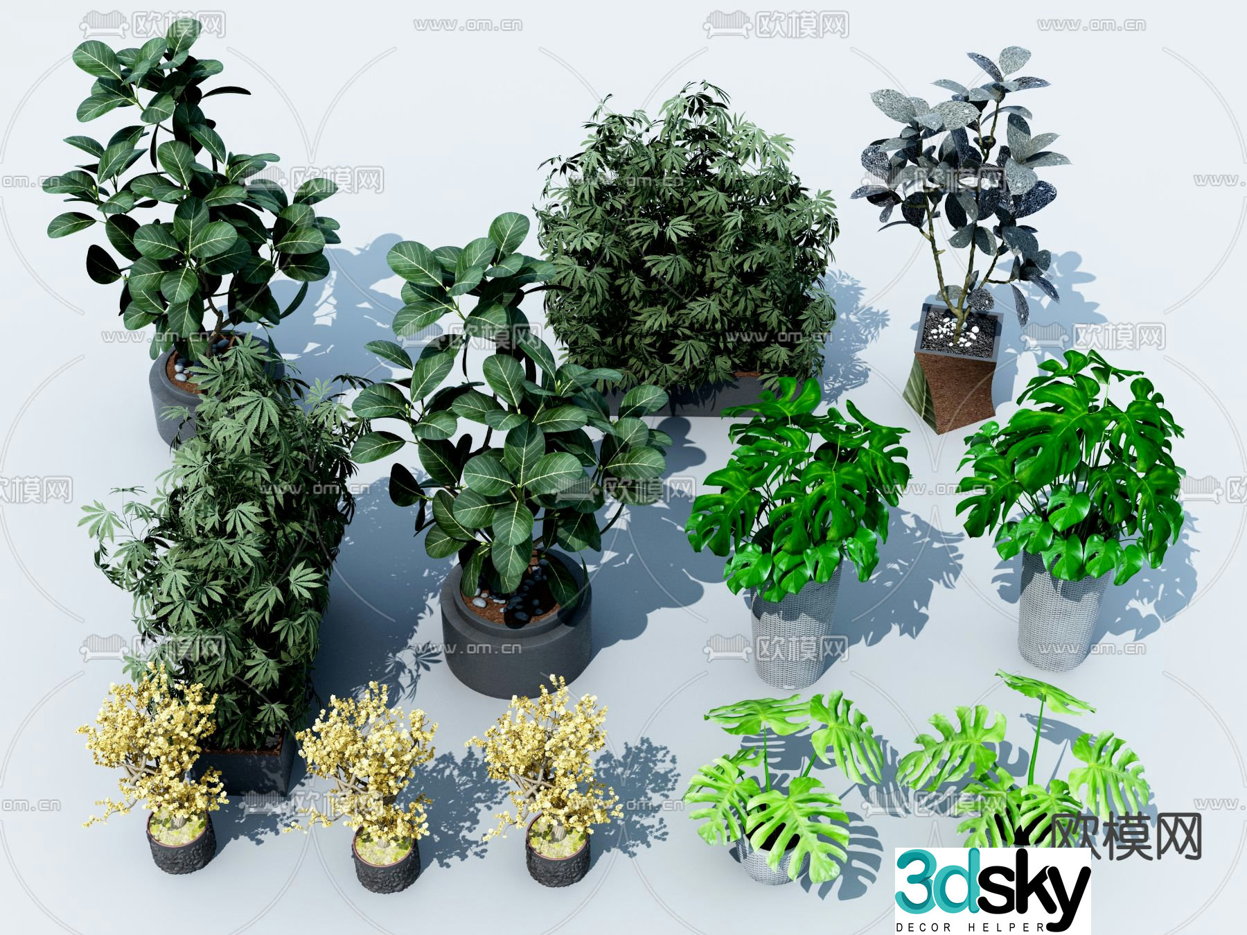 Green plants potted plants 3D model