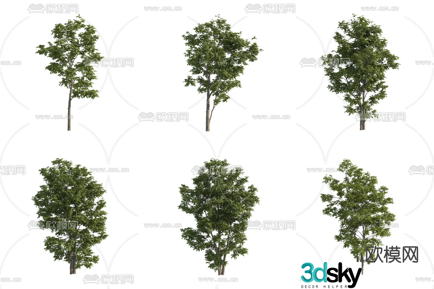 Fluffy ash big tree street tree landscape tree 3d model