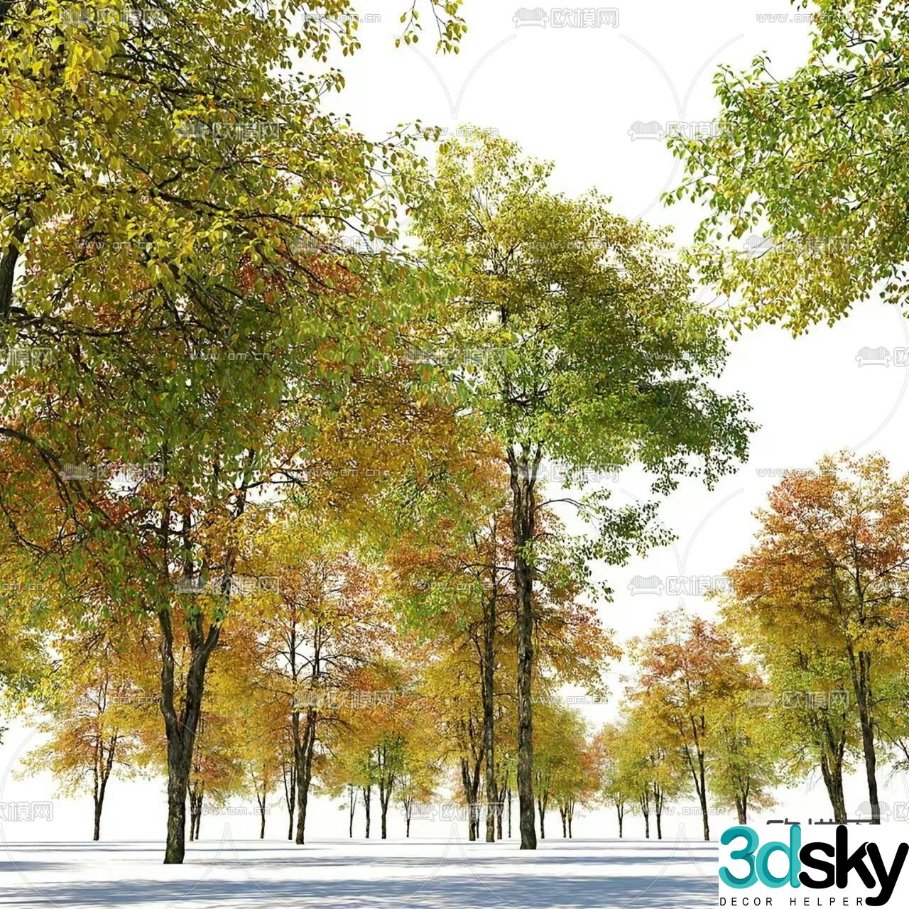 3D model of autumn yellow auricle tree