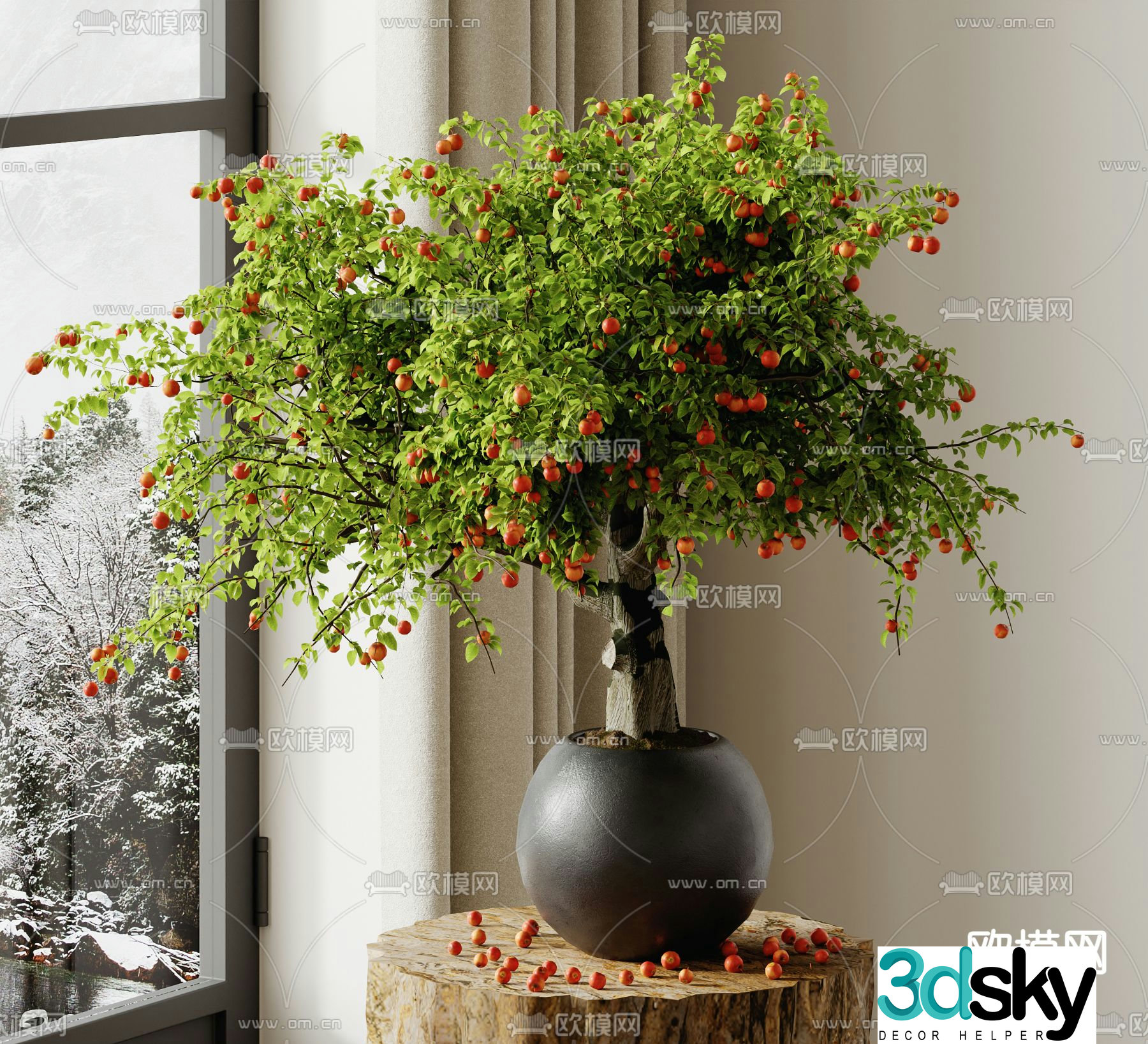 Plant potted bonsai 3d model