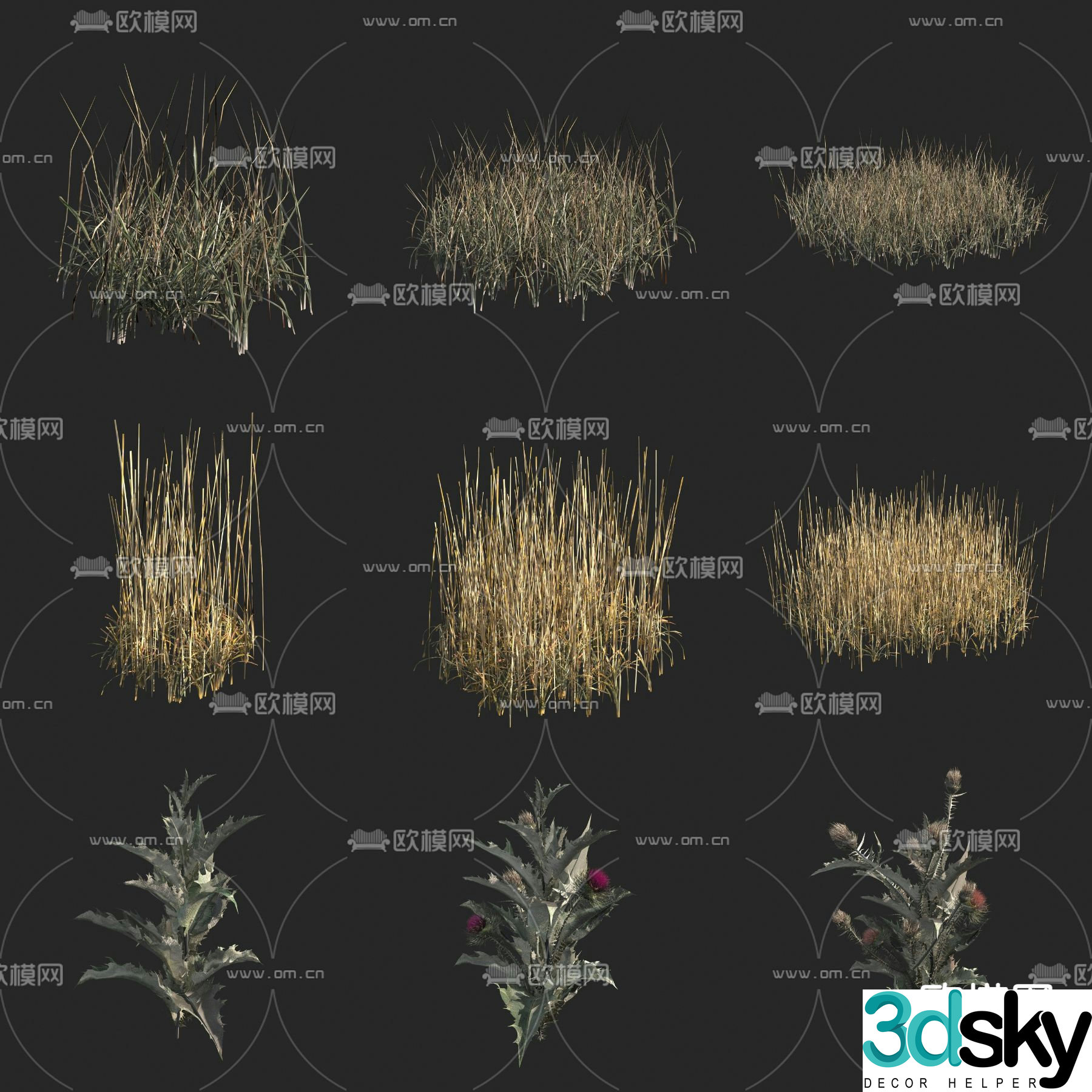 Dead grass wild grass big winged thistle flower flowers and plants 3d model