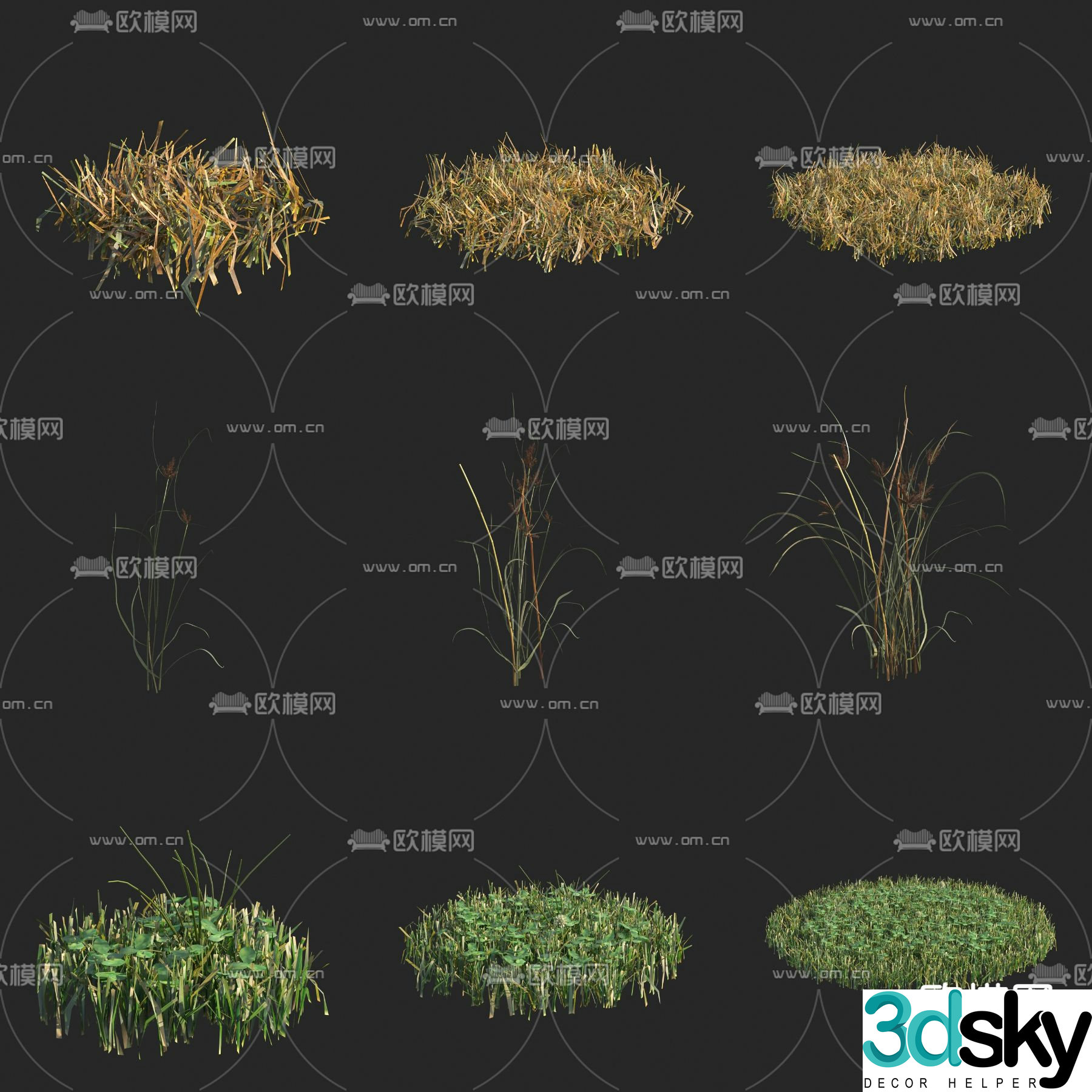 Triangular grass flowers and plants wild grass 3d model