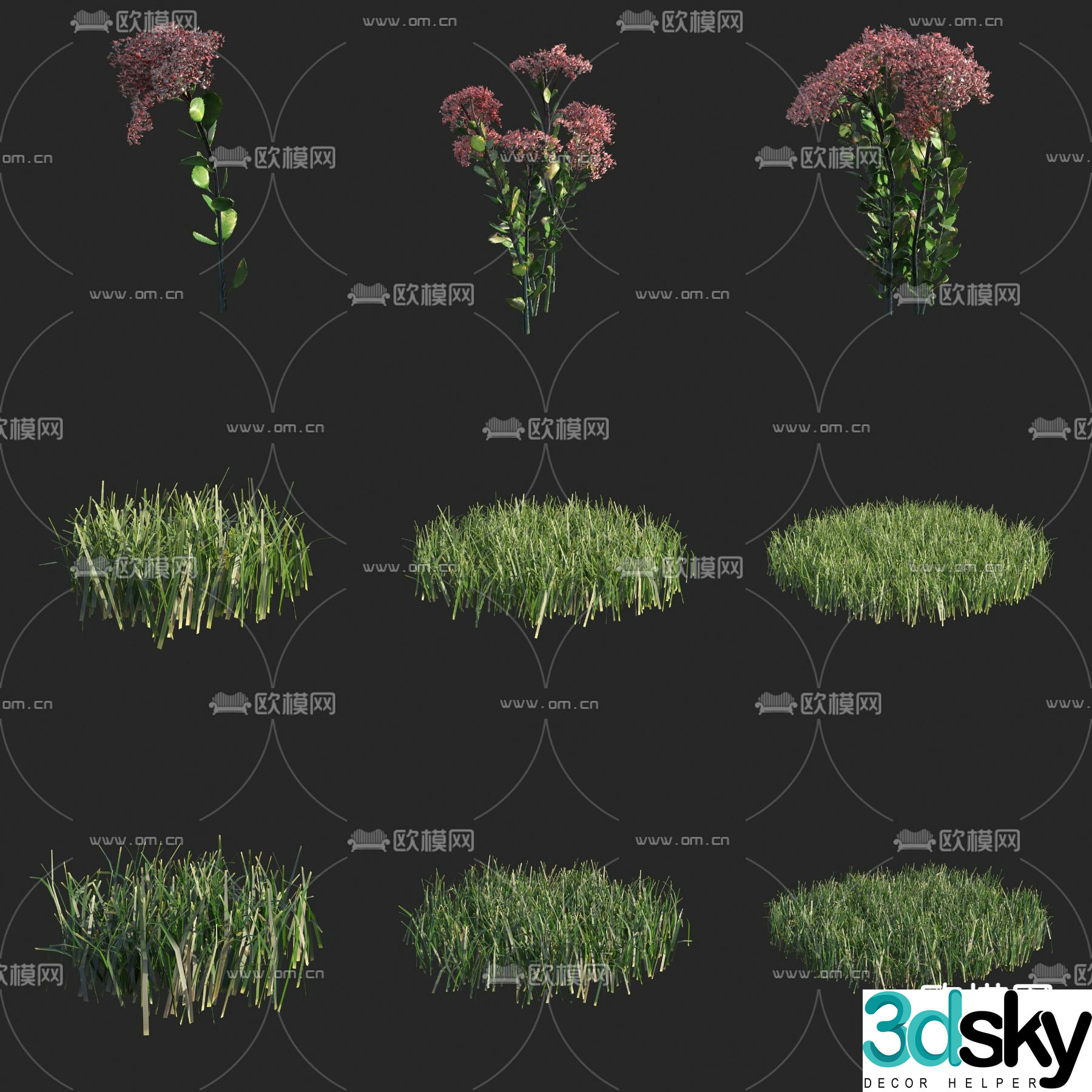 Long medicine eight treasure flowers flowers and plants wild grass 3d model