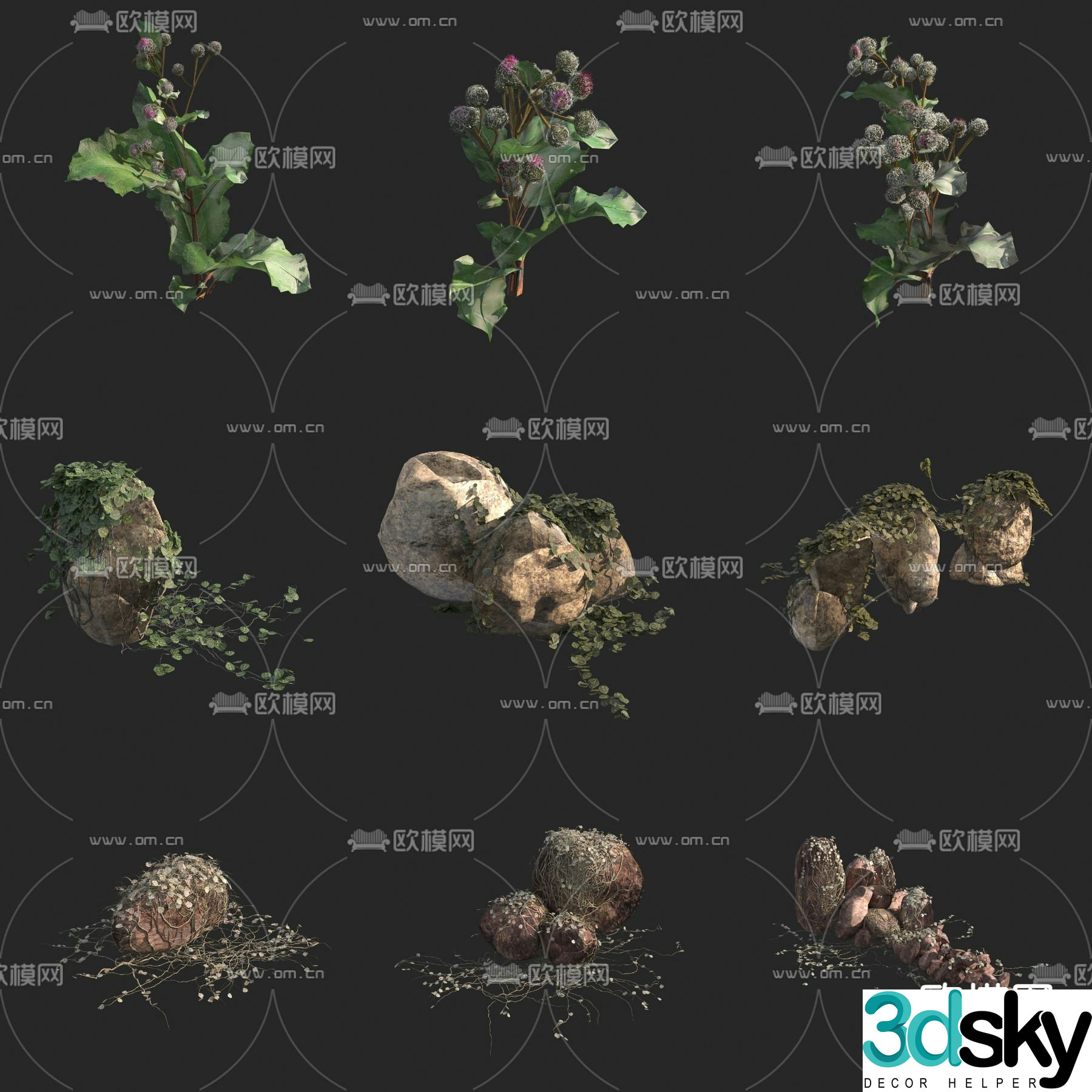 Haitou Burdock Park Bee Lotus Wild Flower Wild Weed 3D Model