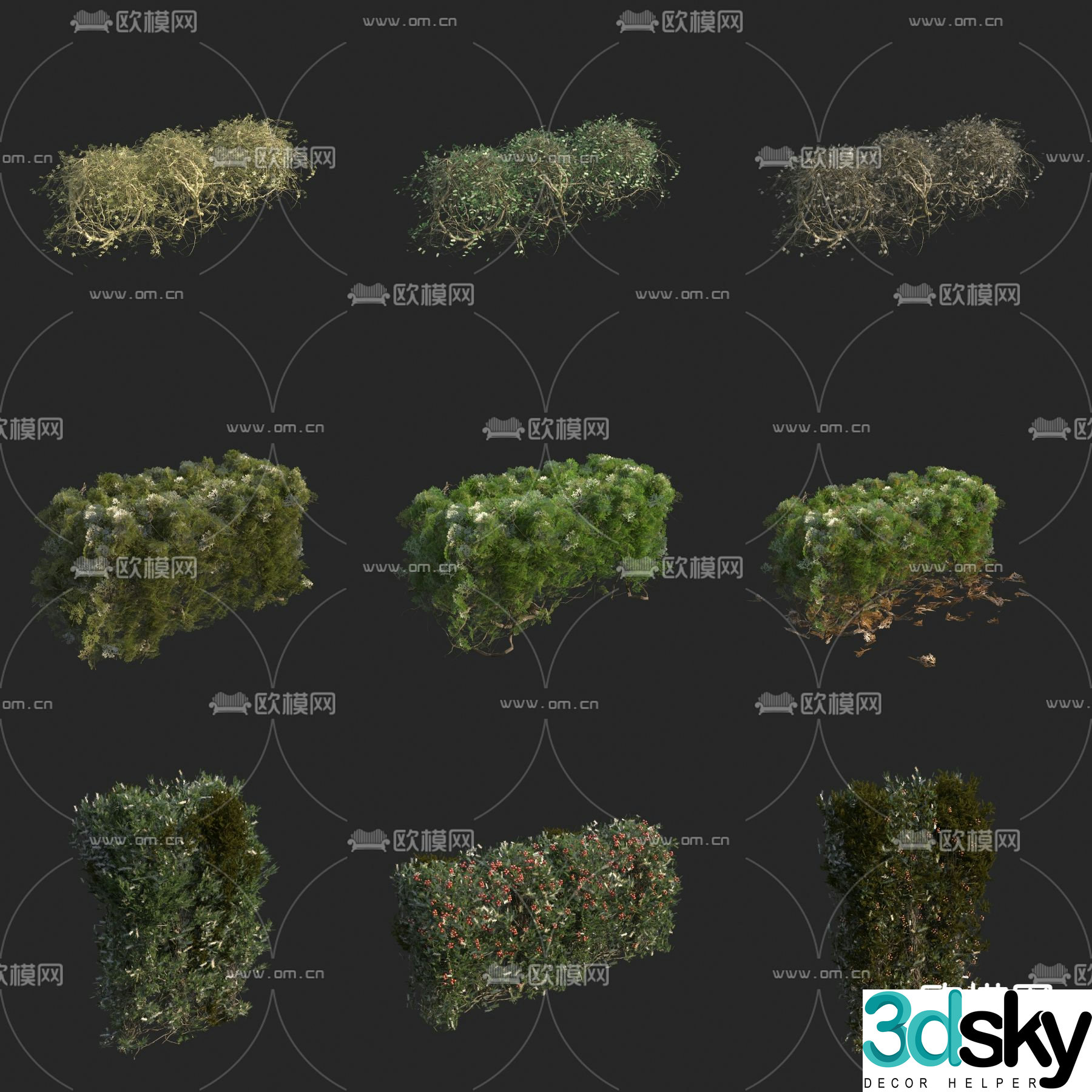 Hedge Shrub Ball Hedge Wall Plant Wall 3D Model