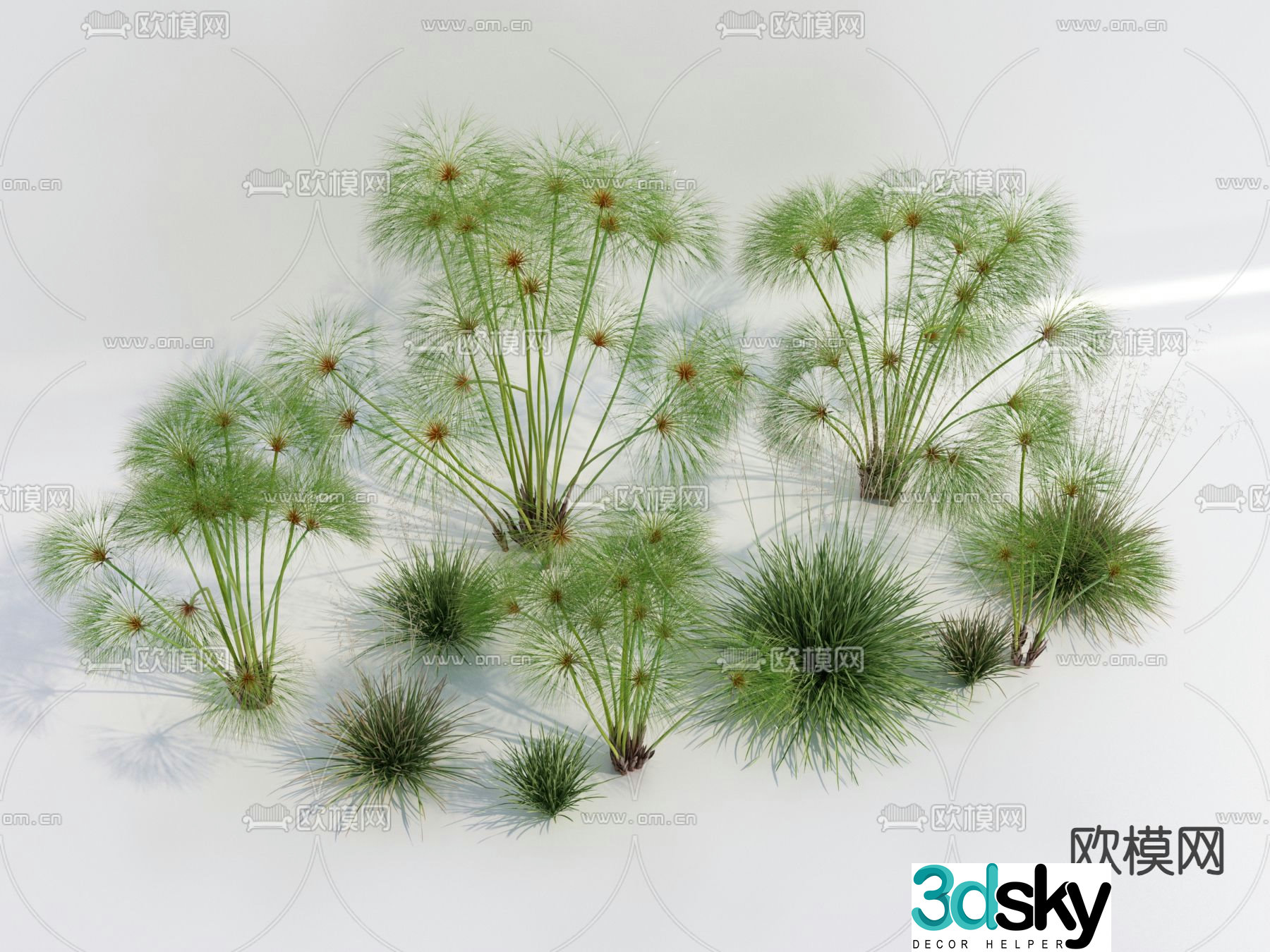 Modern Flowers and Plants 3D Model