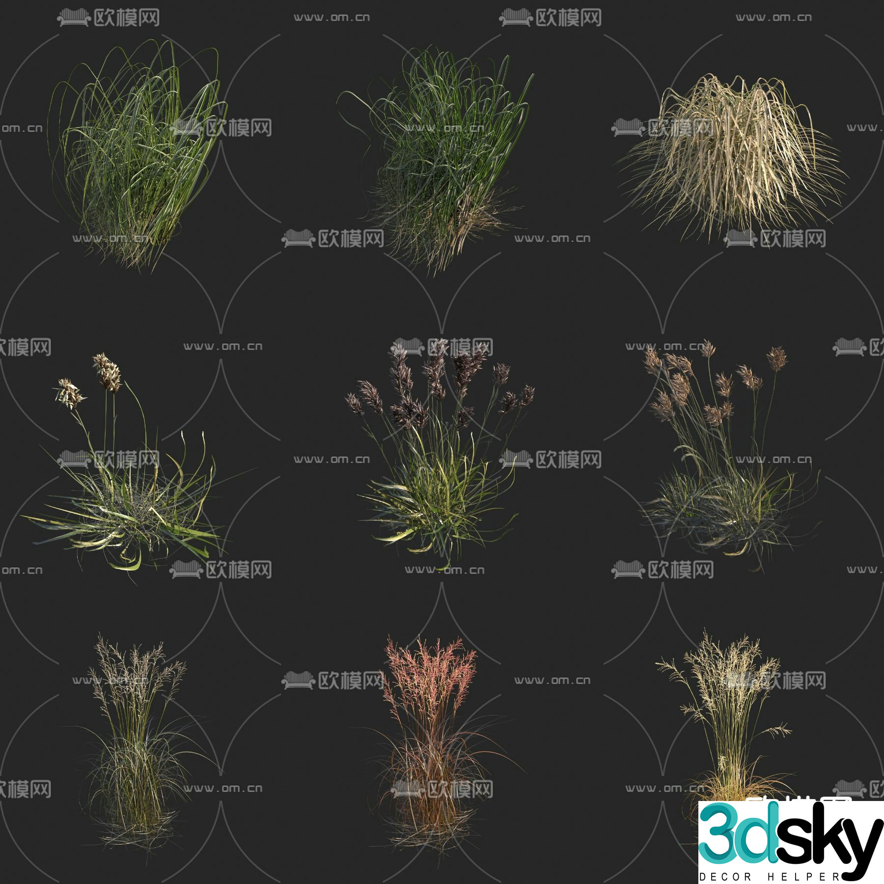 Flower and leaves holly golden edge auspicious fragrance sleeping fragrance dew armor romantic tree Penglai flower flower and grass 3d model