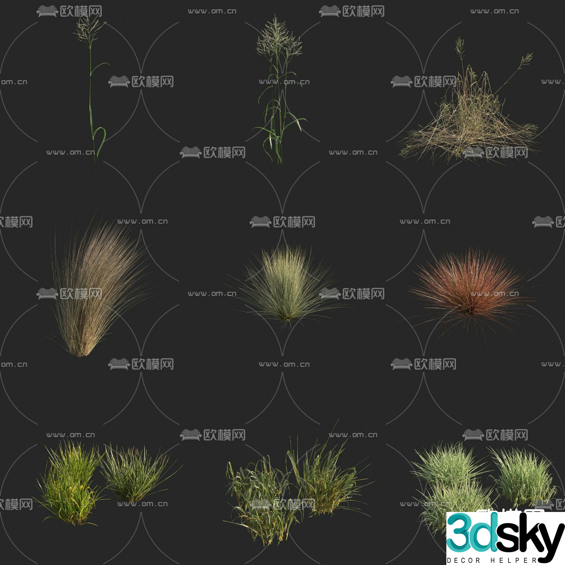 Water sweet thatch sky blue macaque blue macaque sour macaque sky blue macaque wet macaque flowers and plants 3D model