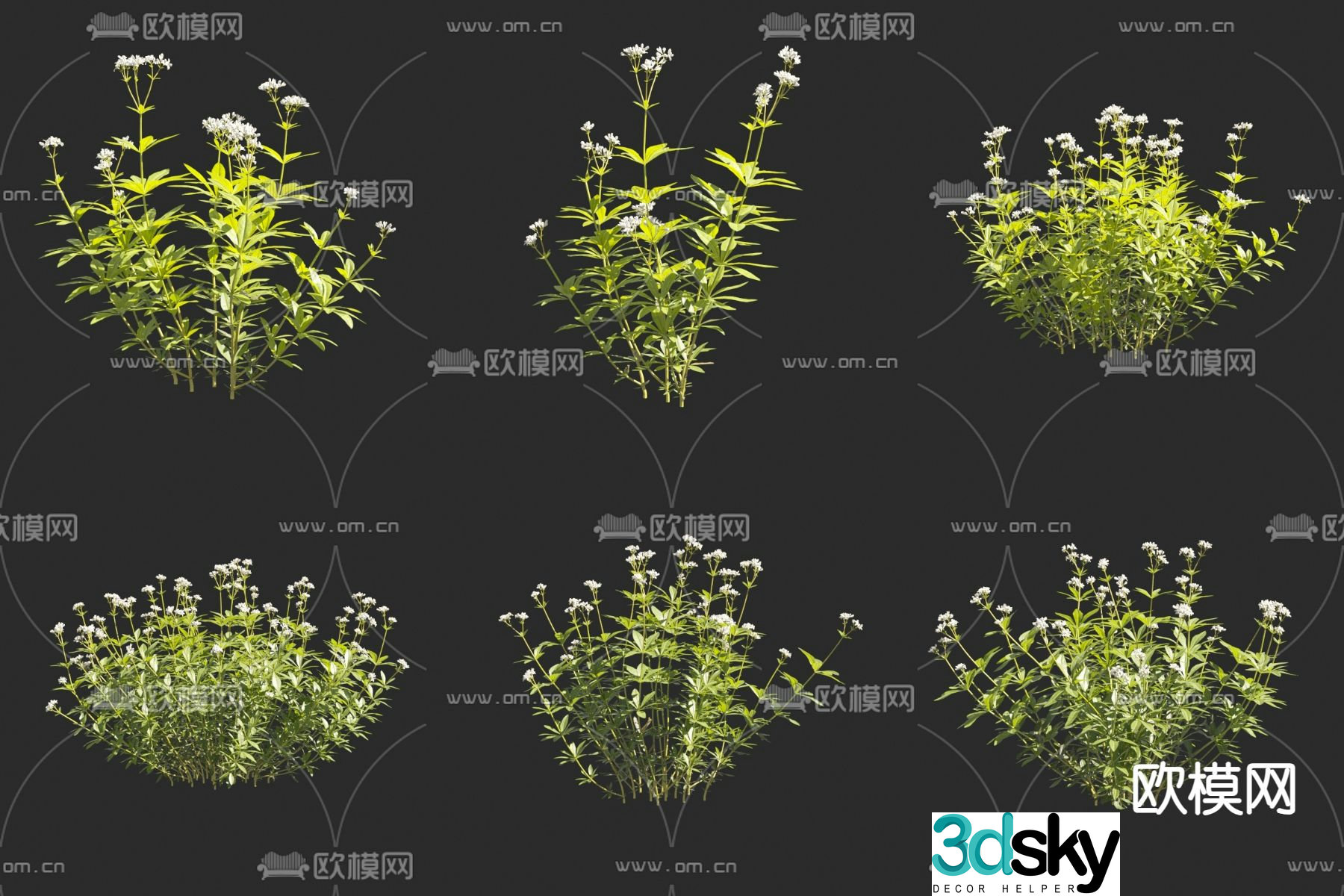 Axle grass starry sky fragrant car leaf clover fragrant pig flower and grass 3d model