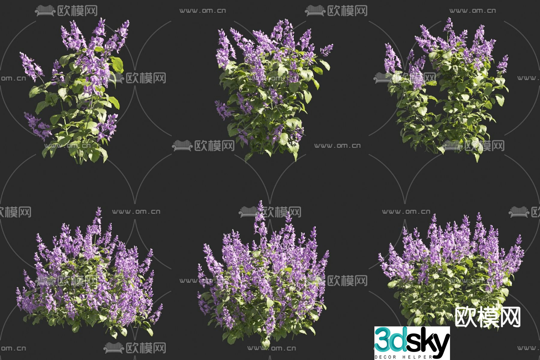 Purple Phoenix Mona Lavender Flowers and Grass 3D Model