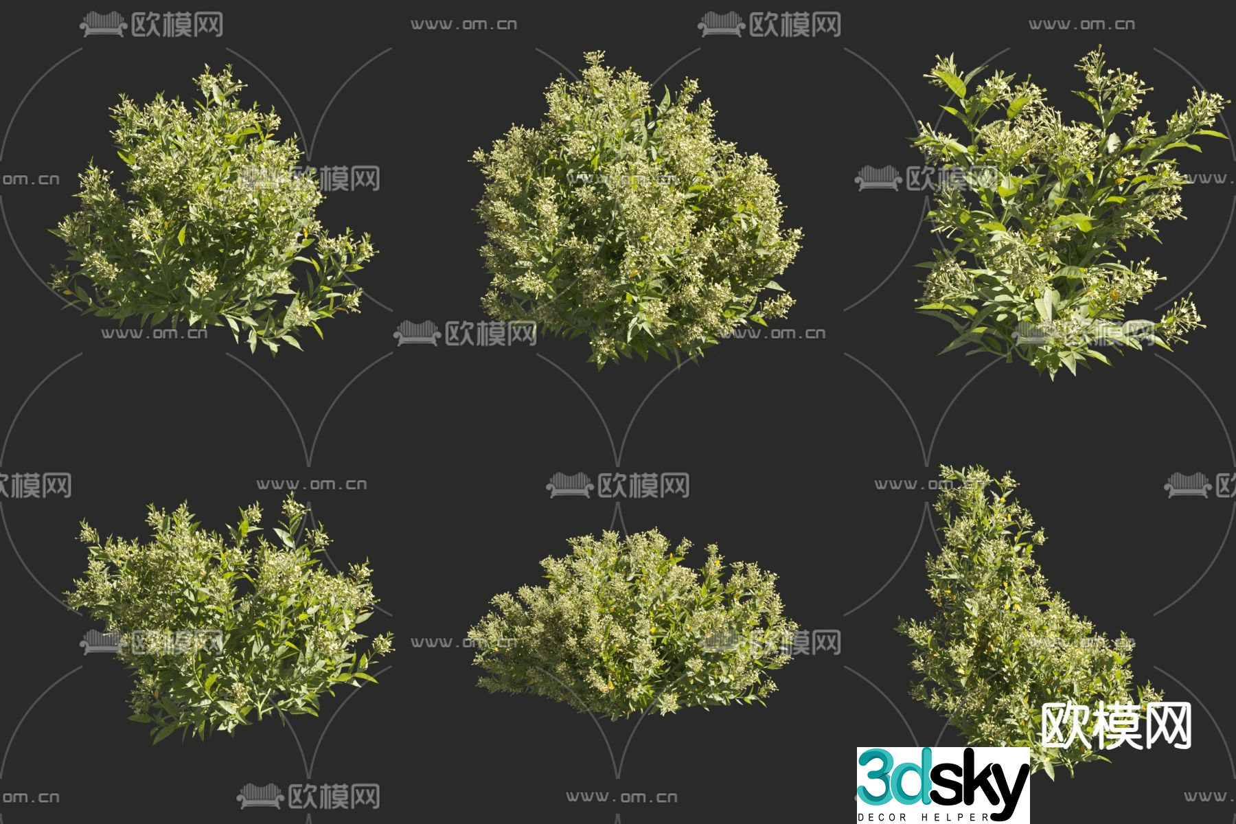 Night fragrance wood flowers and plants 3d model