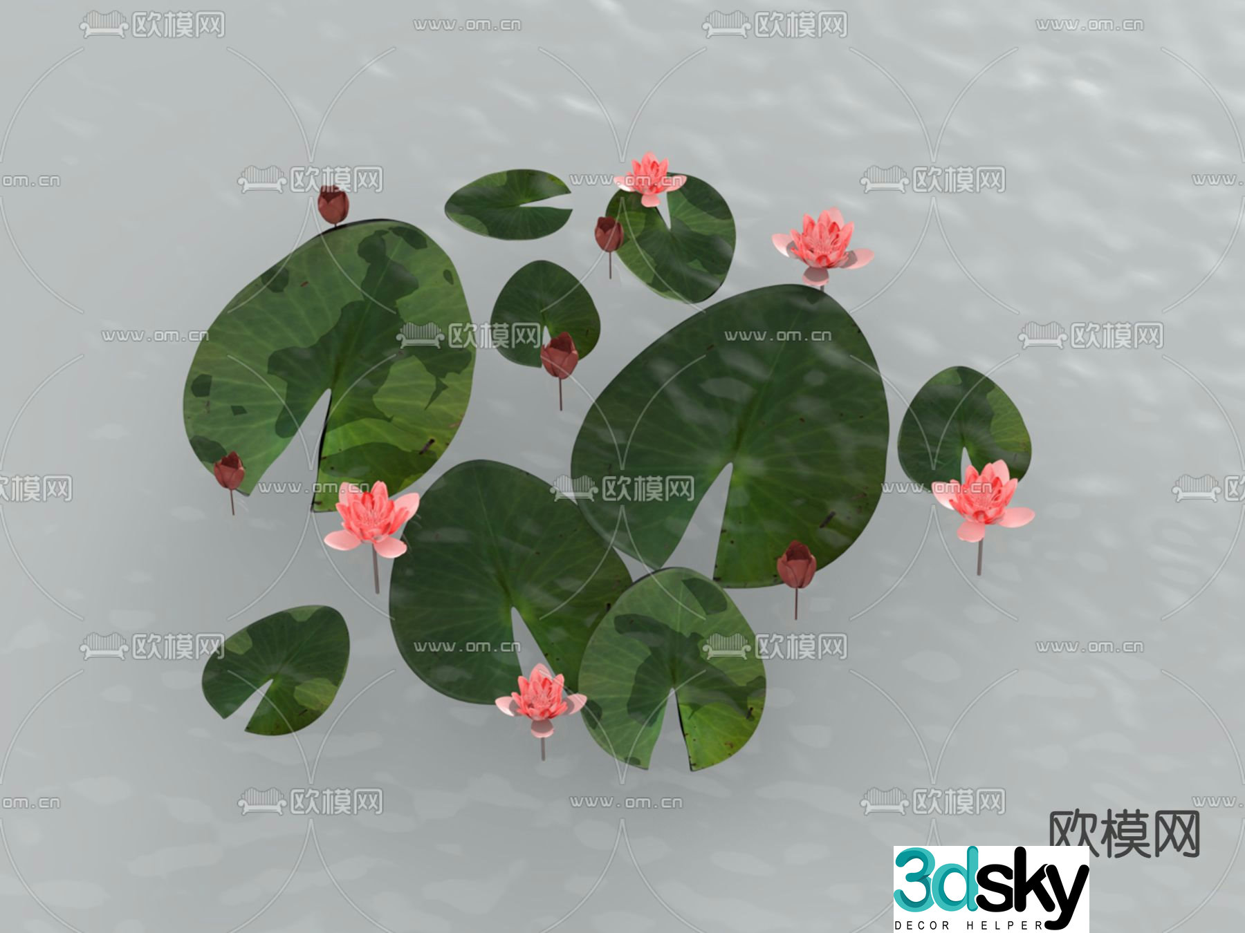 Lotus 3d model