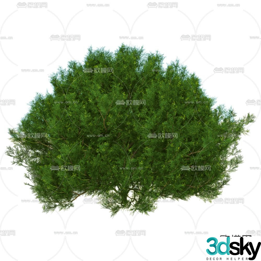 Styling shrubs pruned shrubs green plants 3D model