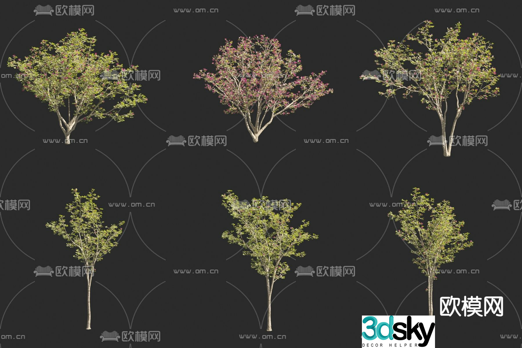 Magnolia Purple Magnolia Red Magnolia Xinyi Flower Flower Tree Landscape Tree Small Tree 3D Model