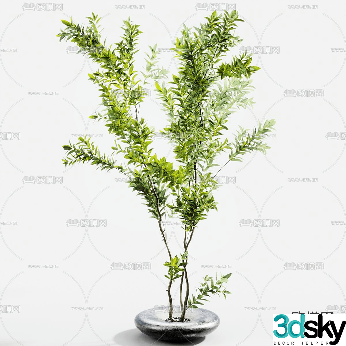 Plant potted green plant potted 3D model