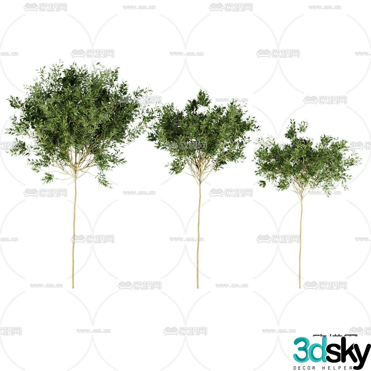 Tree Landscape Tree 3d Model