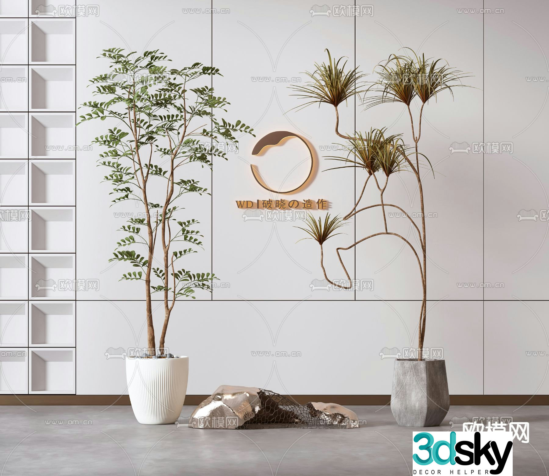 Plant potted millennium wood 3d model