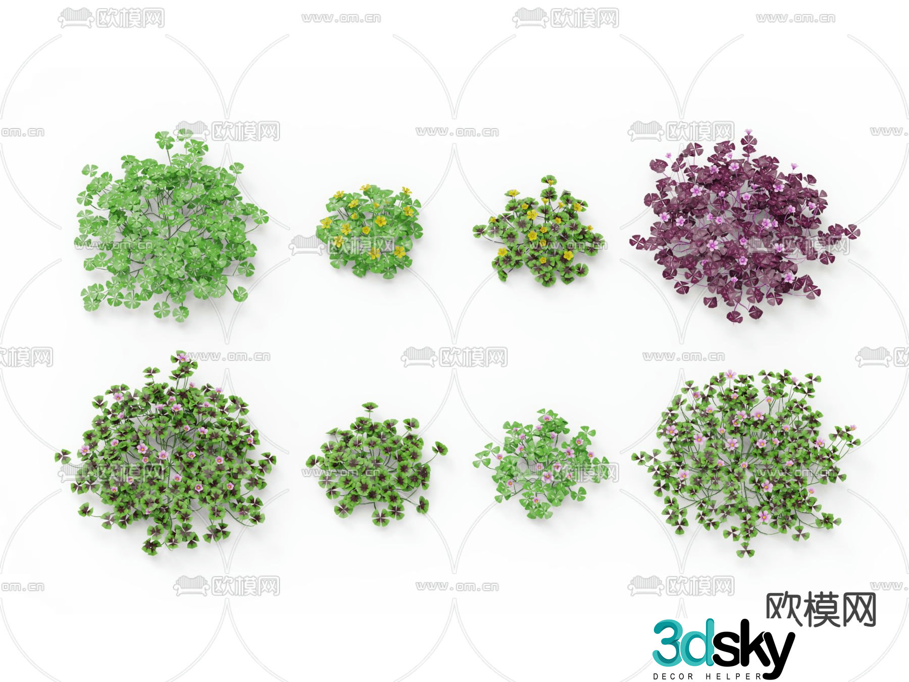 Green plants Flowers and plants 3d model