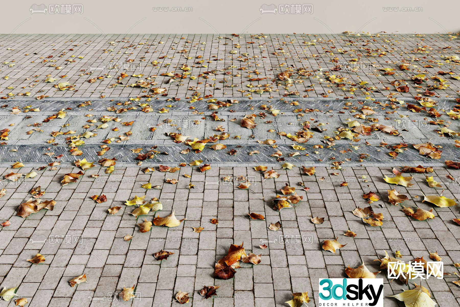 fallen leaves leaves dead leaves cement road 3d model