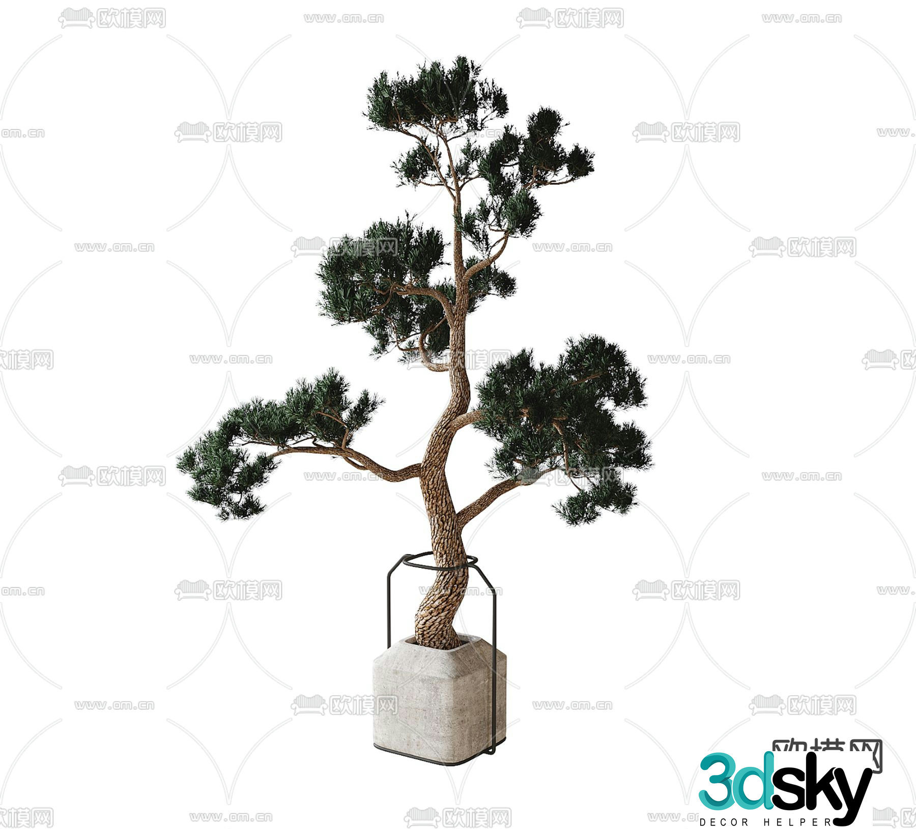 New Chinese Potted Plants Bonsai Green Plant 3D Model