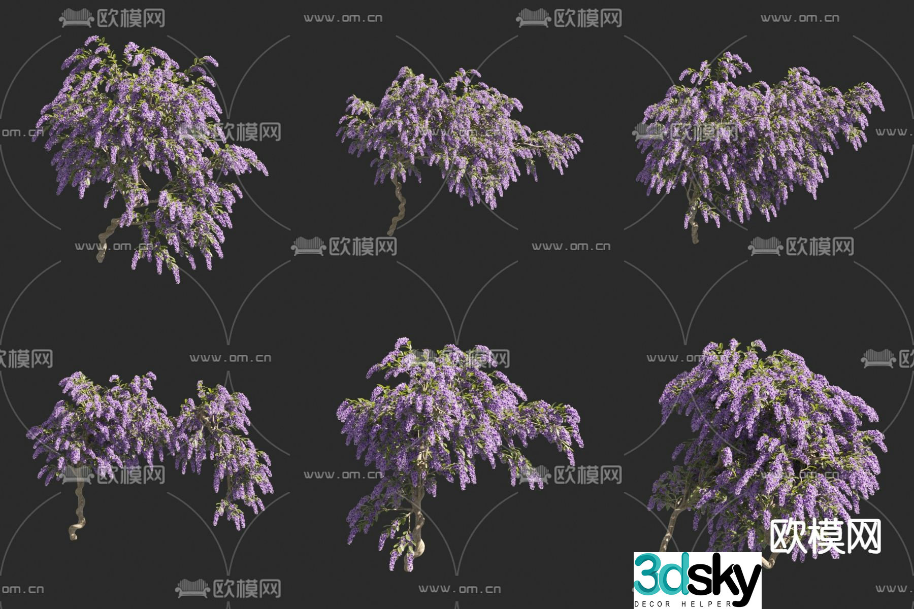 Orchid vine Zixia vine 3D model