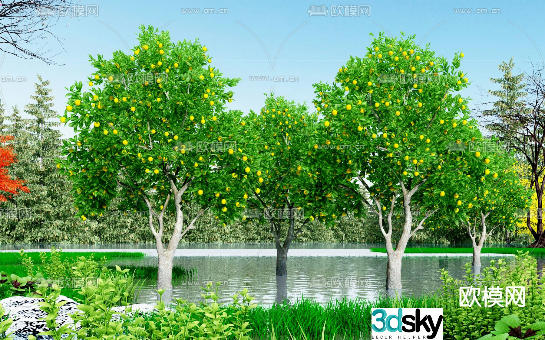 Modern orange tree 3d model