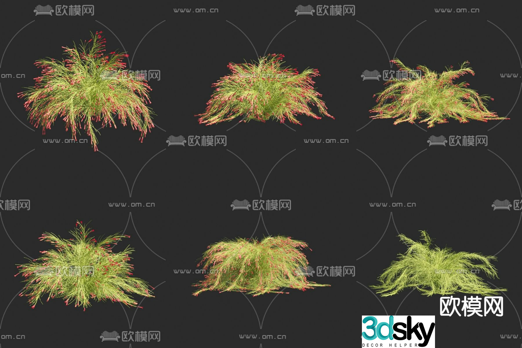 Flowers plants shrubs 3d model