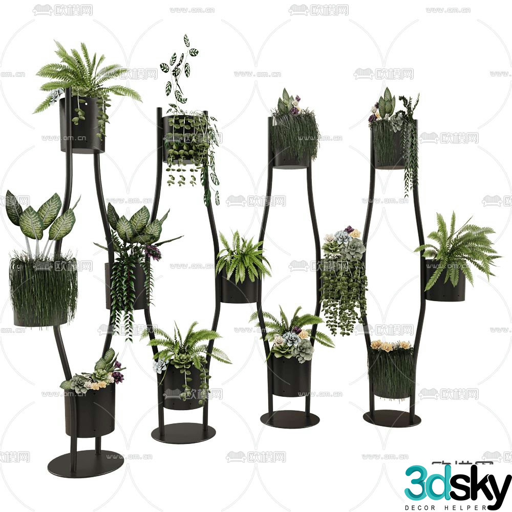 Ornamental plant potted 3D model