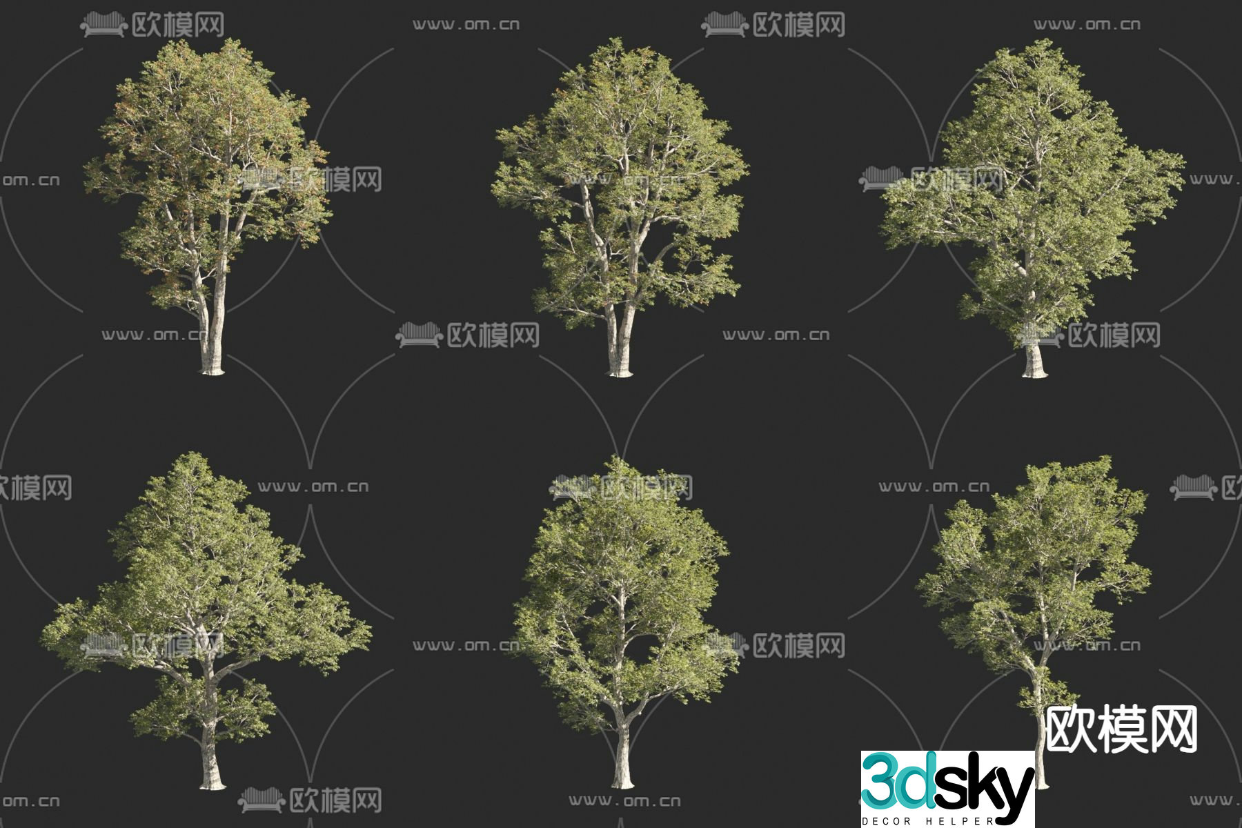 Oak Oak Tree Landscape Tree Small Tree 3D Model