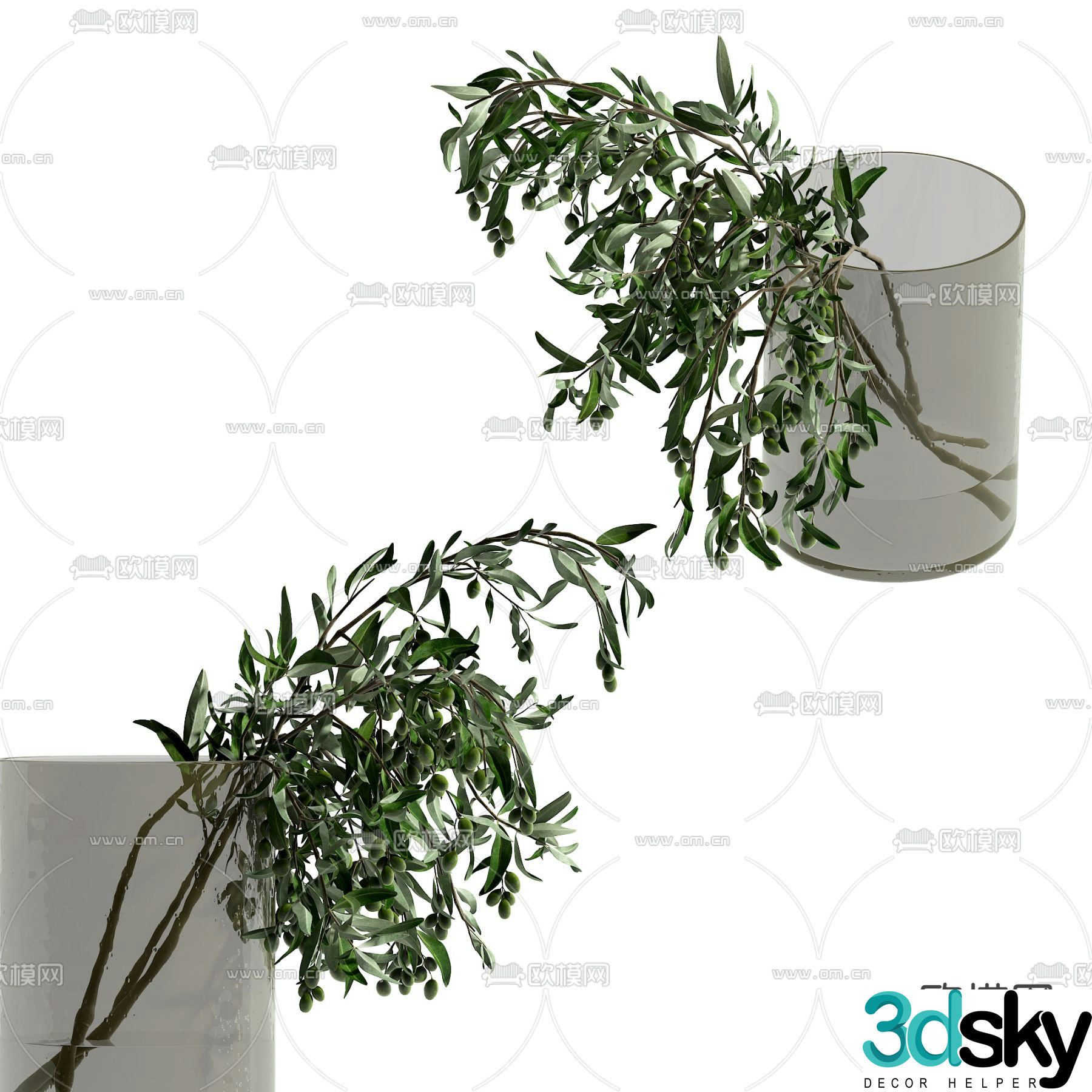 Modern plant ornaments 3d model