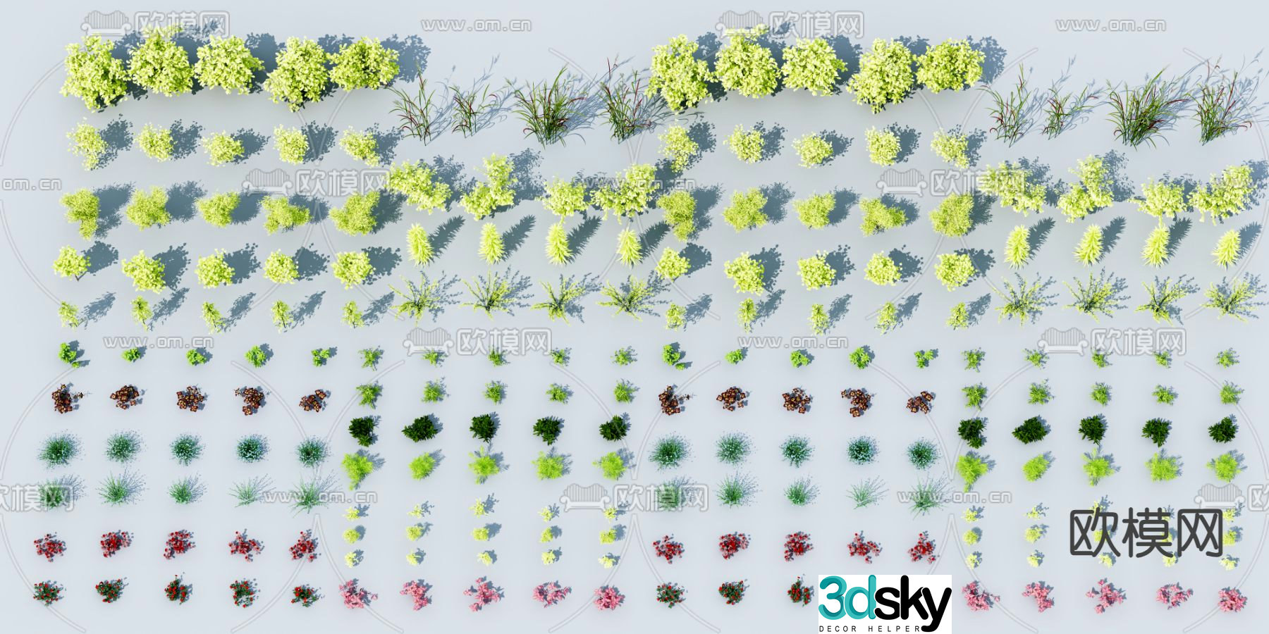 Flowers and plants Wild grass 3d model