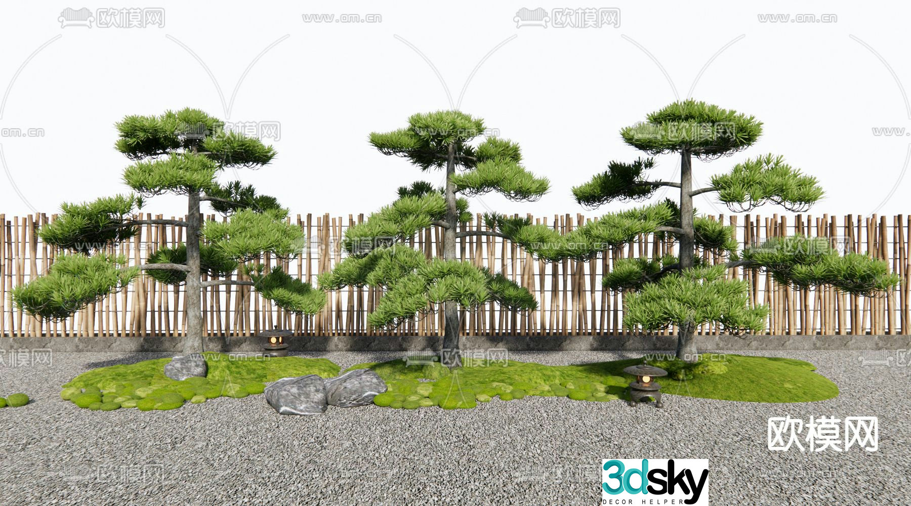 Landscape sketch pine tree black pine 3d model