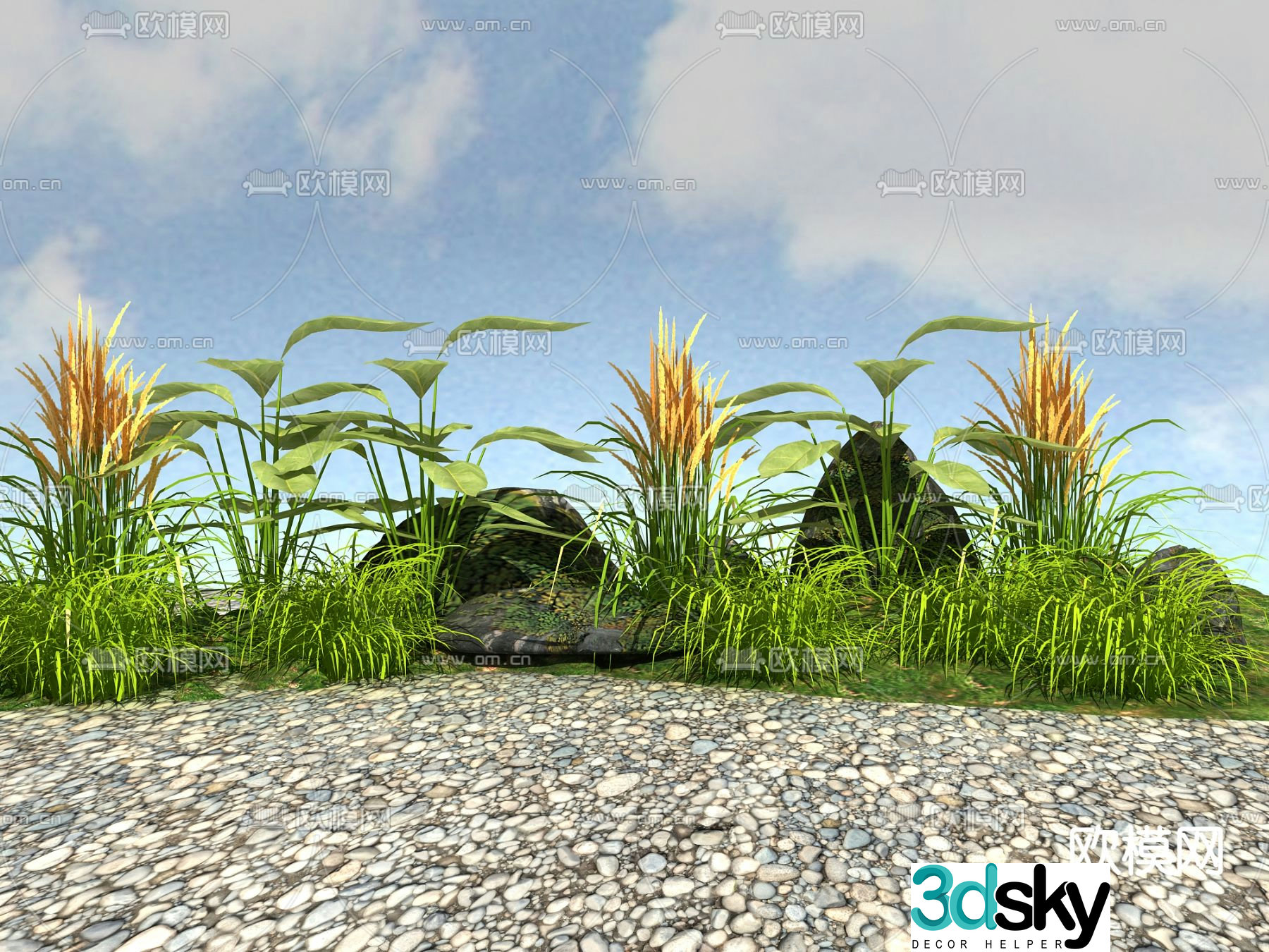 Flowers and plants Stone 3d model