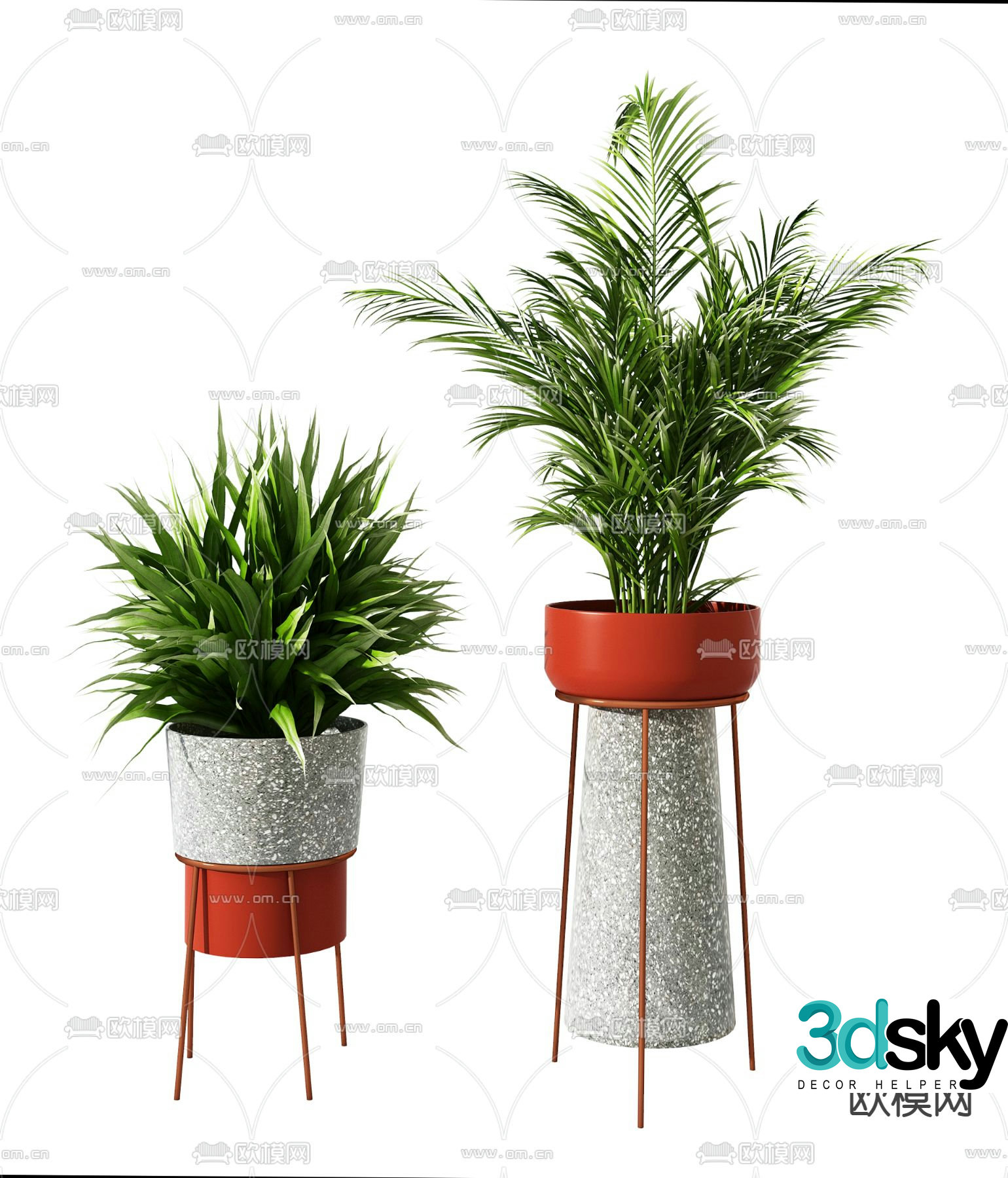 Plant potted 3d model