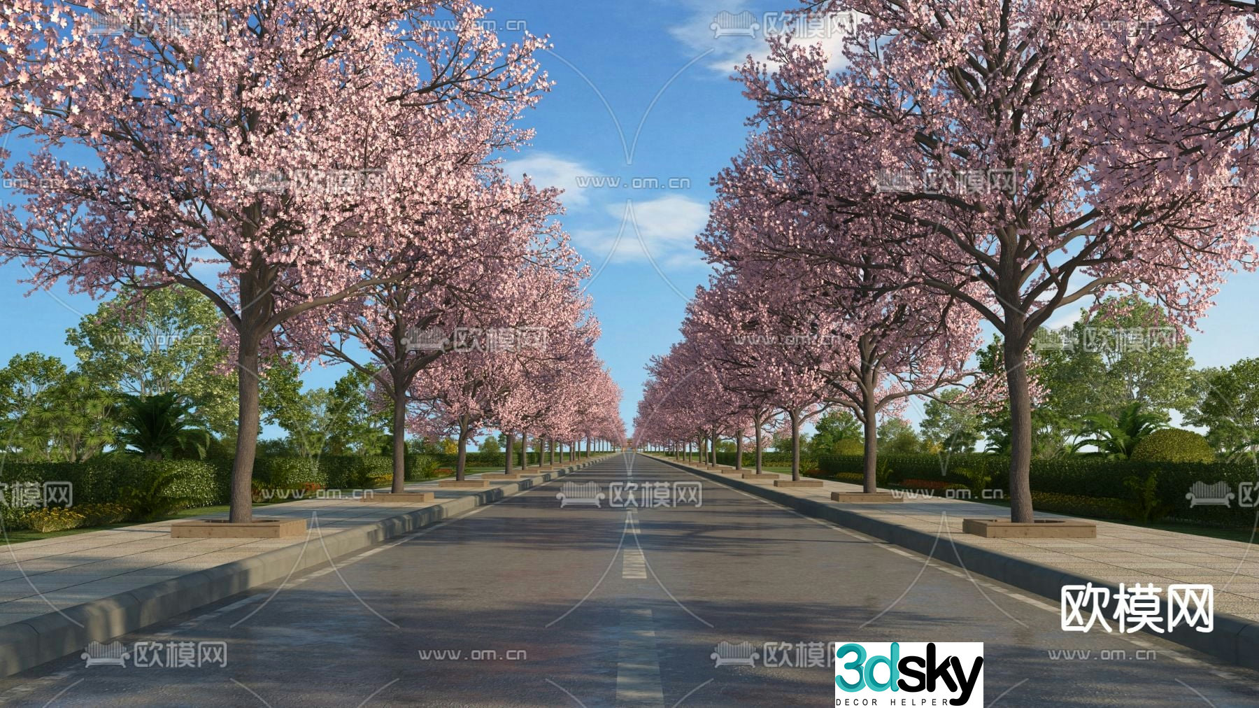cherry blossom tree road 3d model