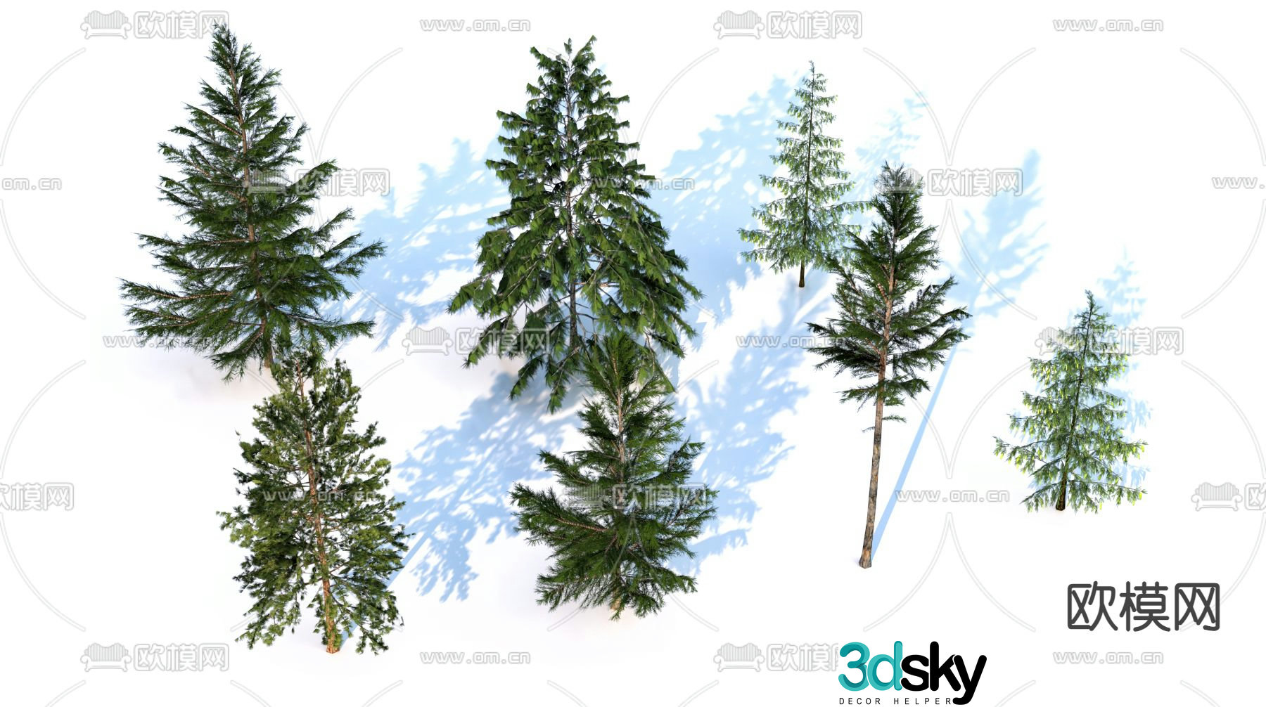 Pine tree cedar landscape tree 3d model