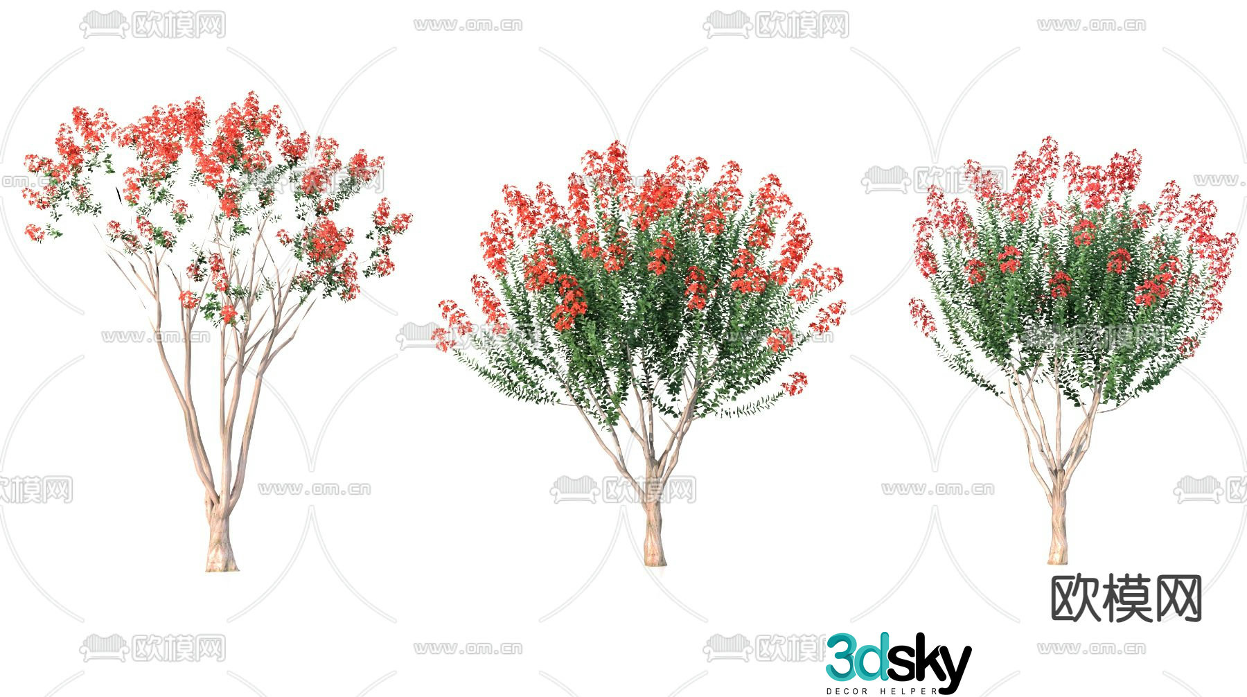 Red flower crape myrtle landscape tree flower tree 3d model