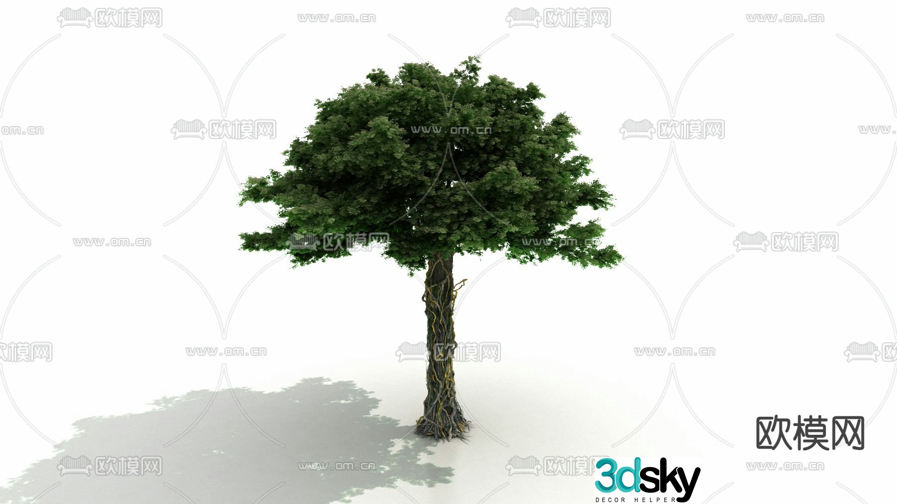 Bodhi tree Buddha tree 3d model