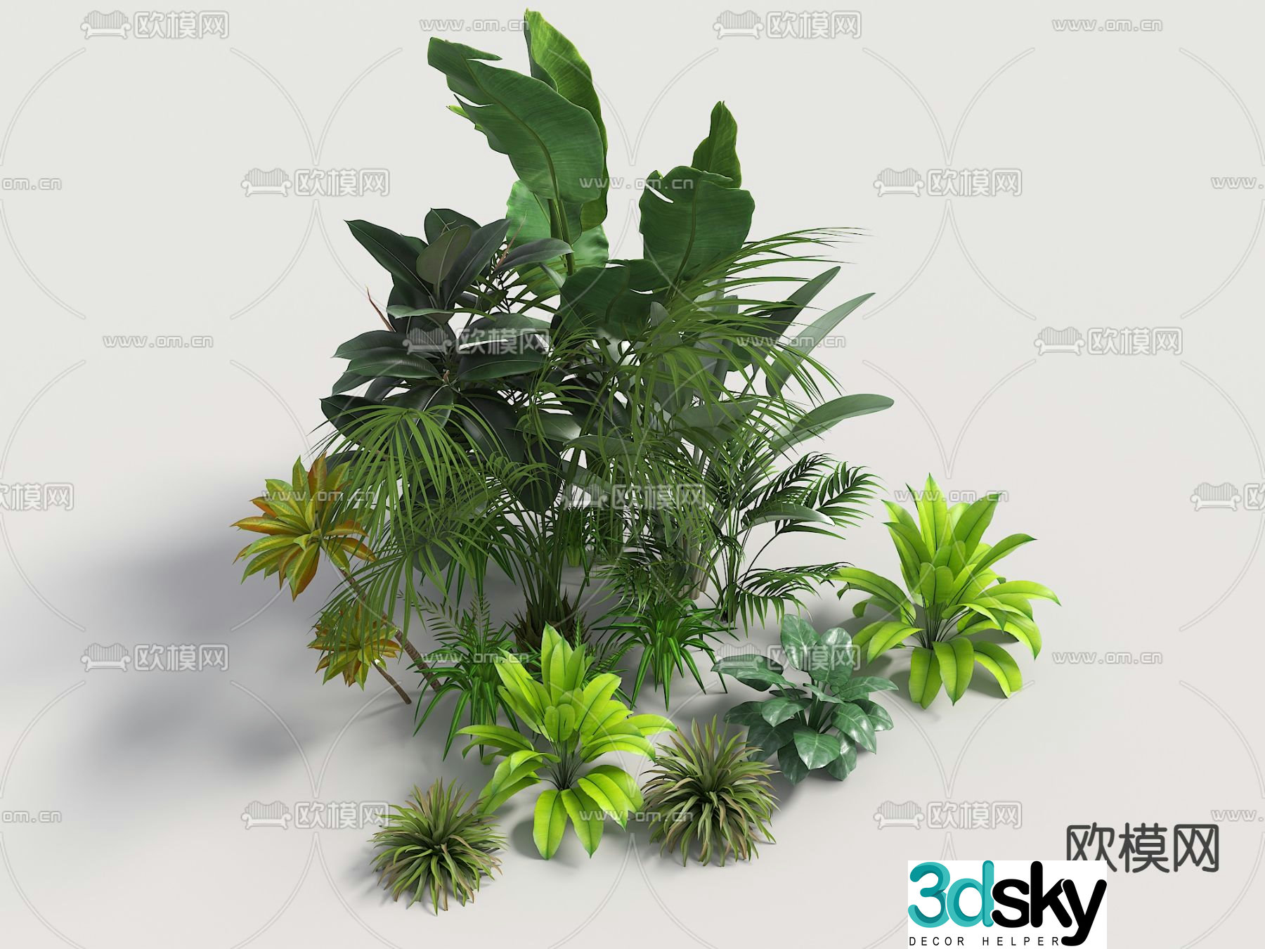 Landscape ground cover shrub tropical plants 3d model