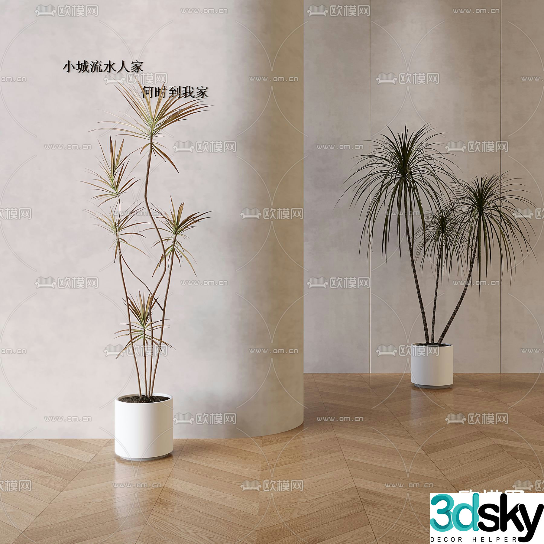 Potted plants Bonsai Green plants 3D model