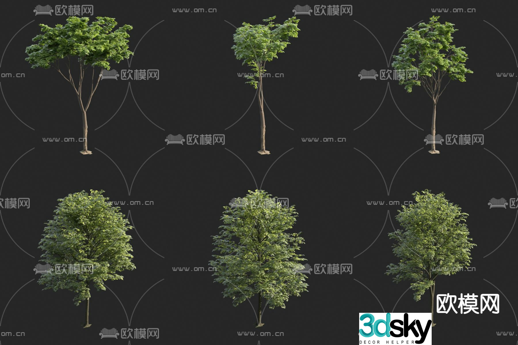 Tree Plant 3D Model