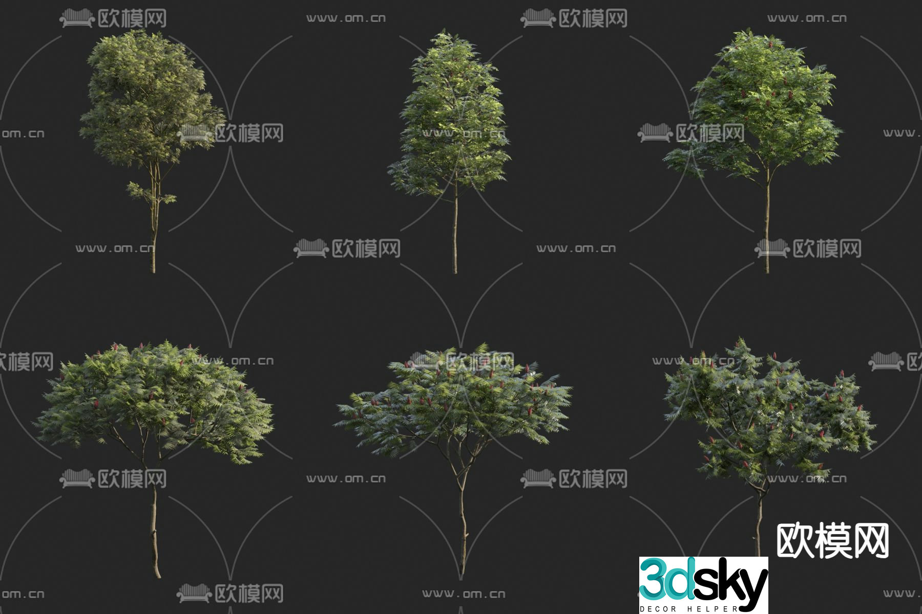 Tree Plant 3D Model