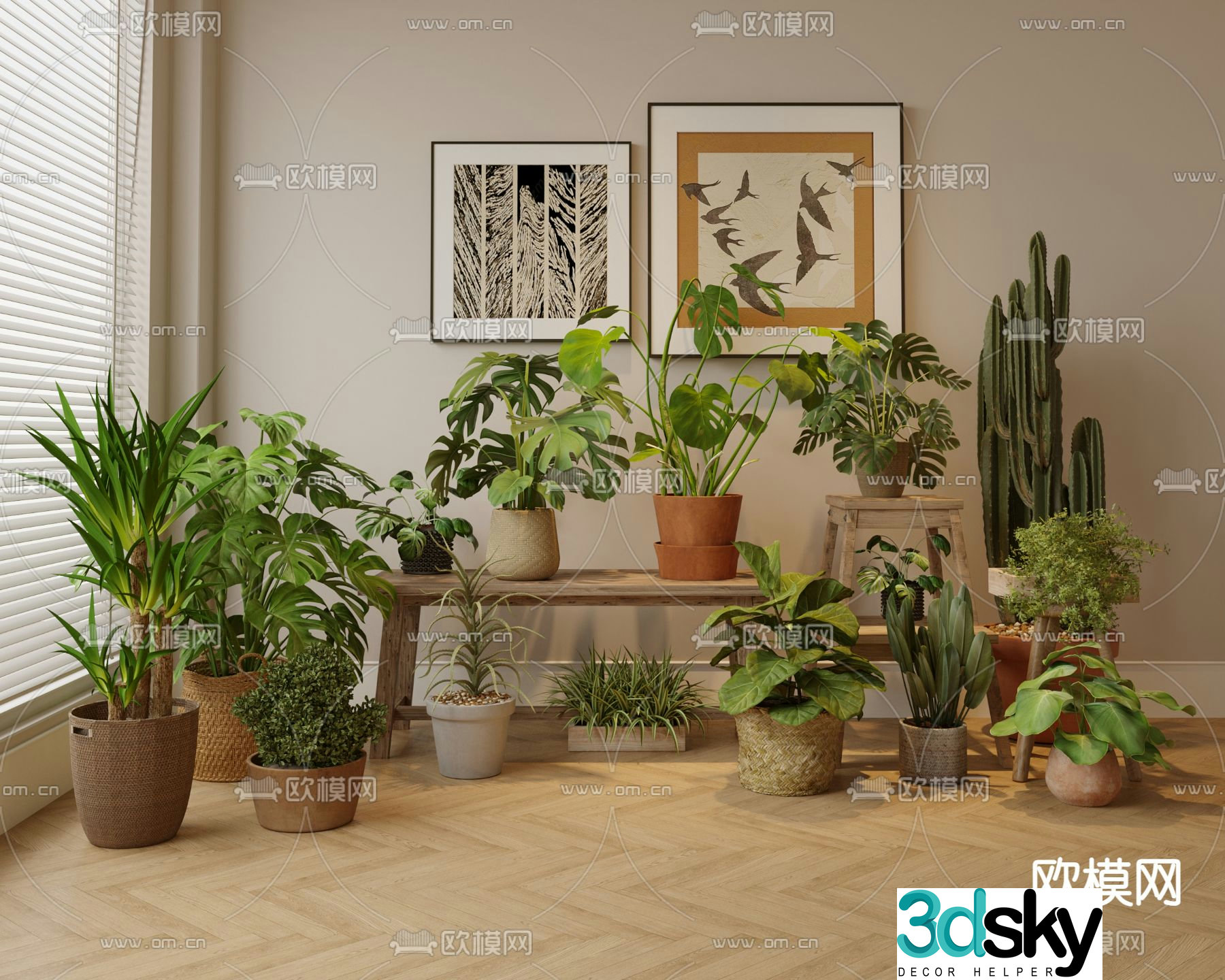 Plant potted cactus Monstera 3d model