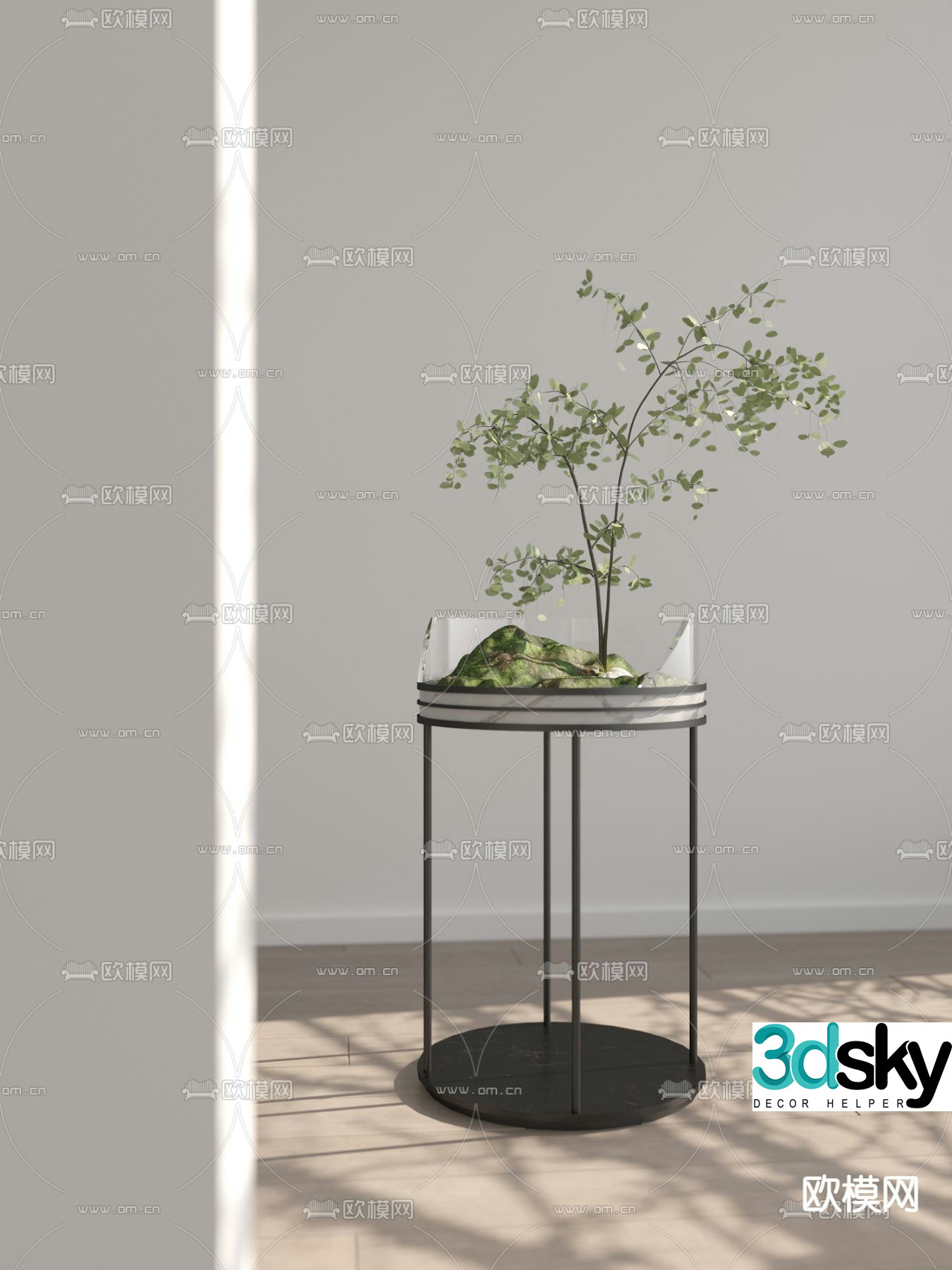 Microscopic green plant potted plant 3d model