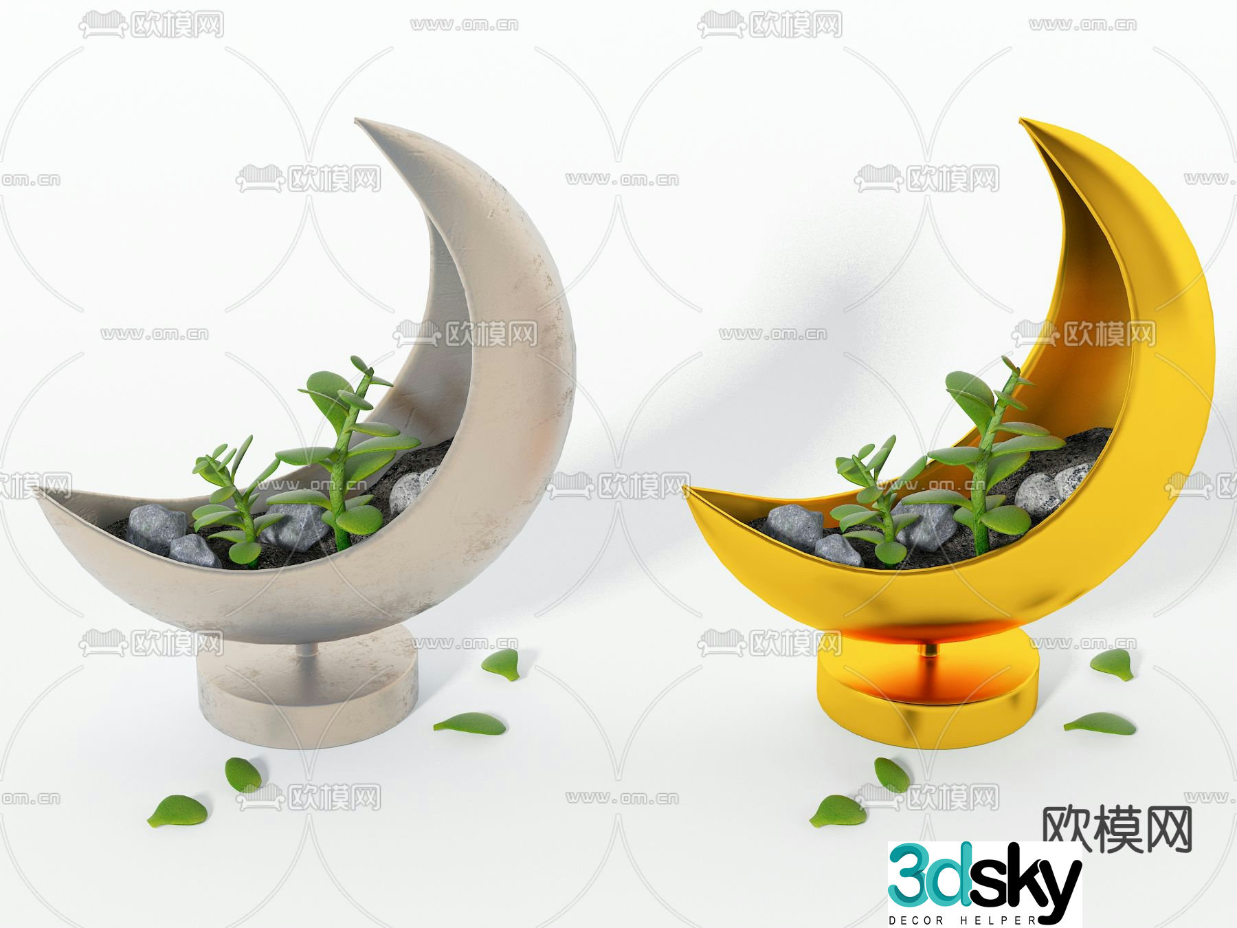 Moon potted plant Bonsai Succulent plant 3D model