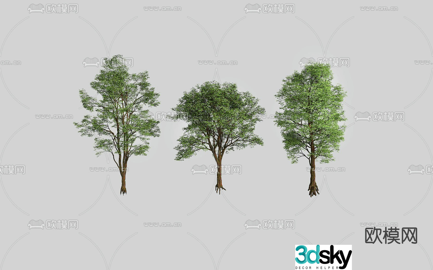 Arbor trees 3d model